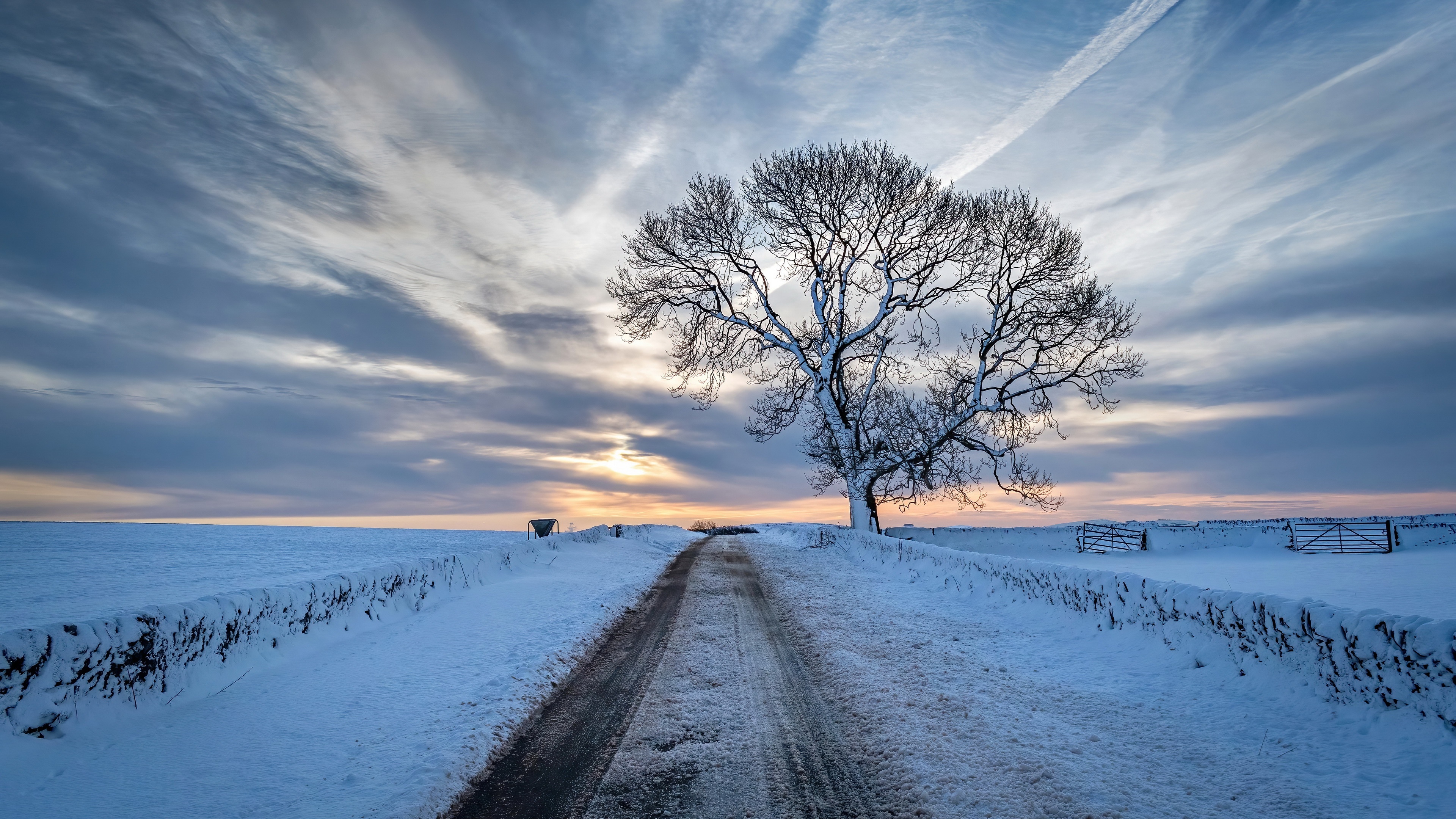 Winter landscape with a tree and a snowy road HD Wallpaper