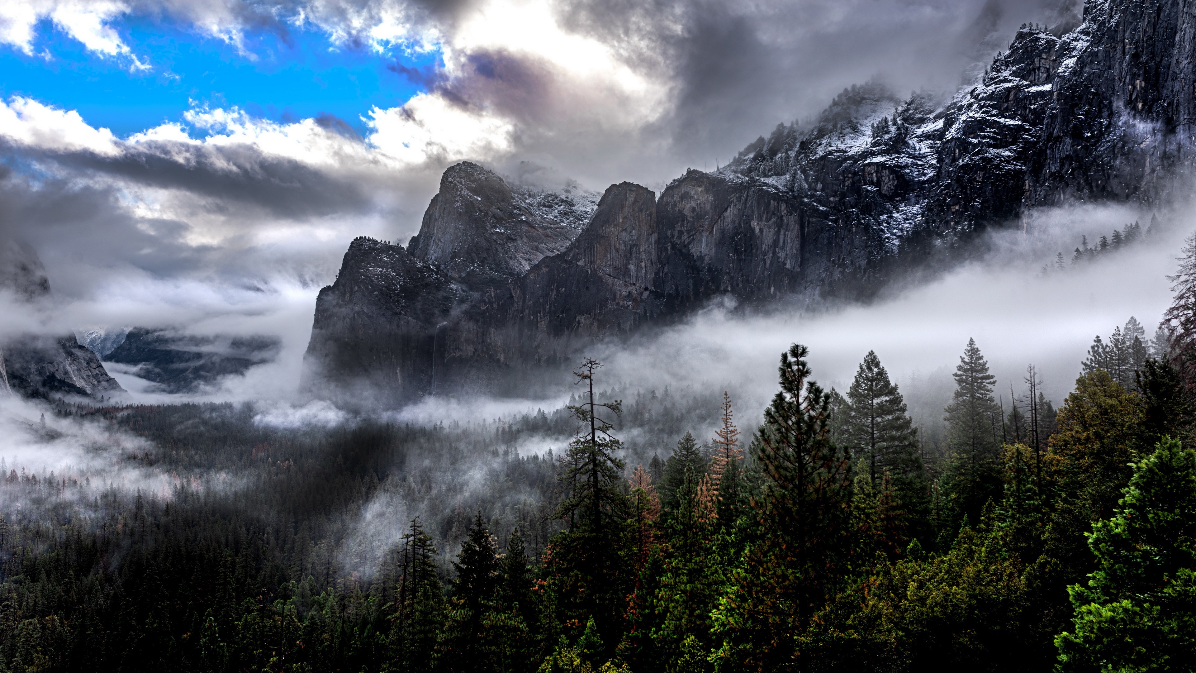 4K Yosemite Valley mountains with fog and trees HD Wallpaper