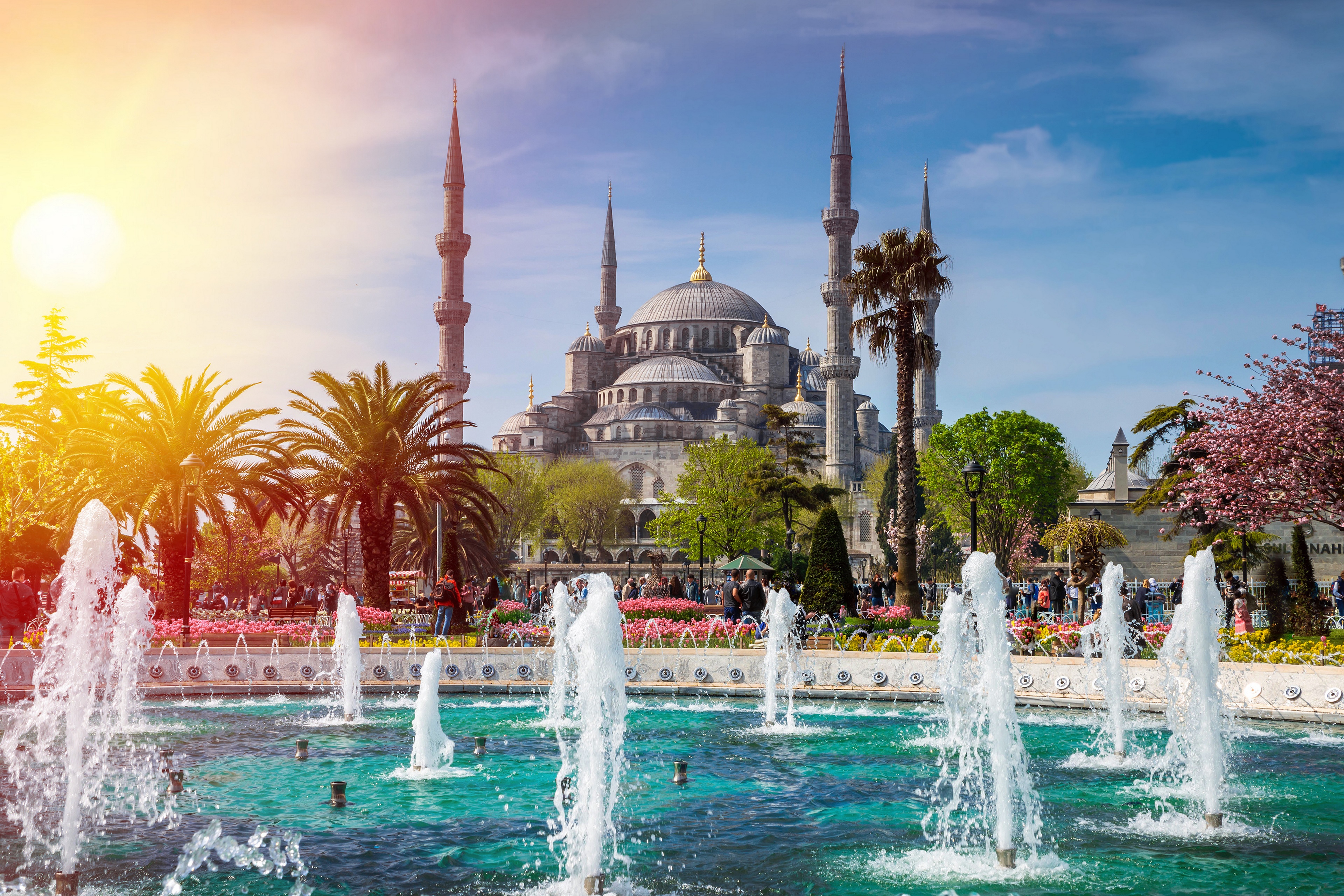 Blue Mosque in Istanbul with Fountain and Palm Trees HD Wallpaper