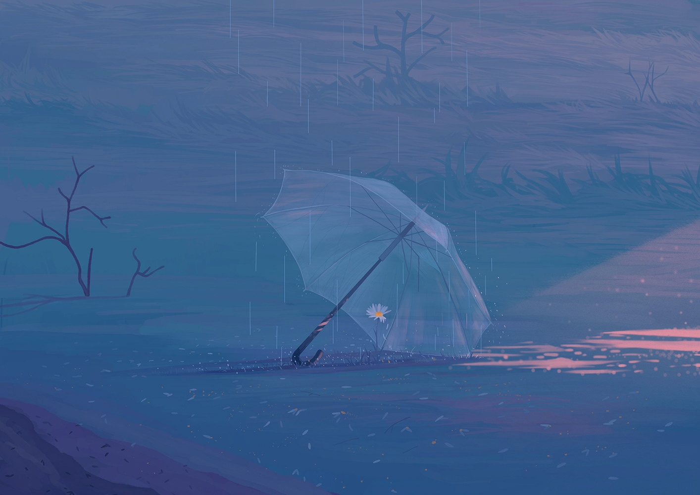 Transparent umbrella with a flower in the rain HD Wallpaper