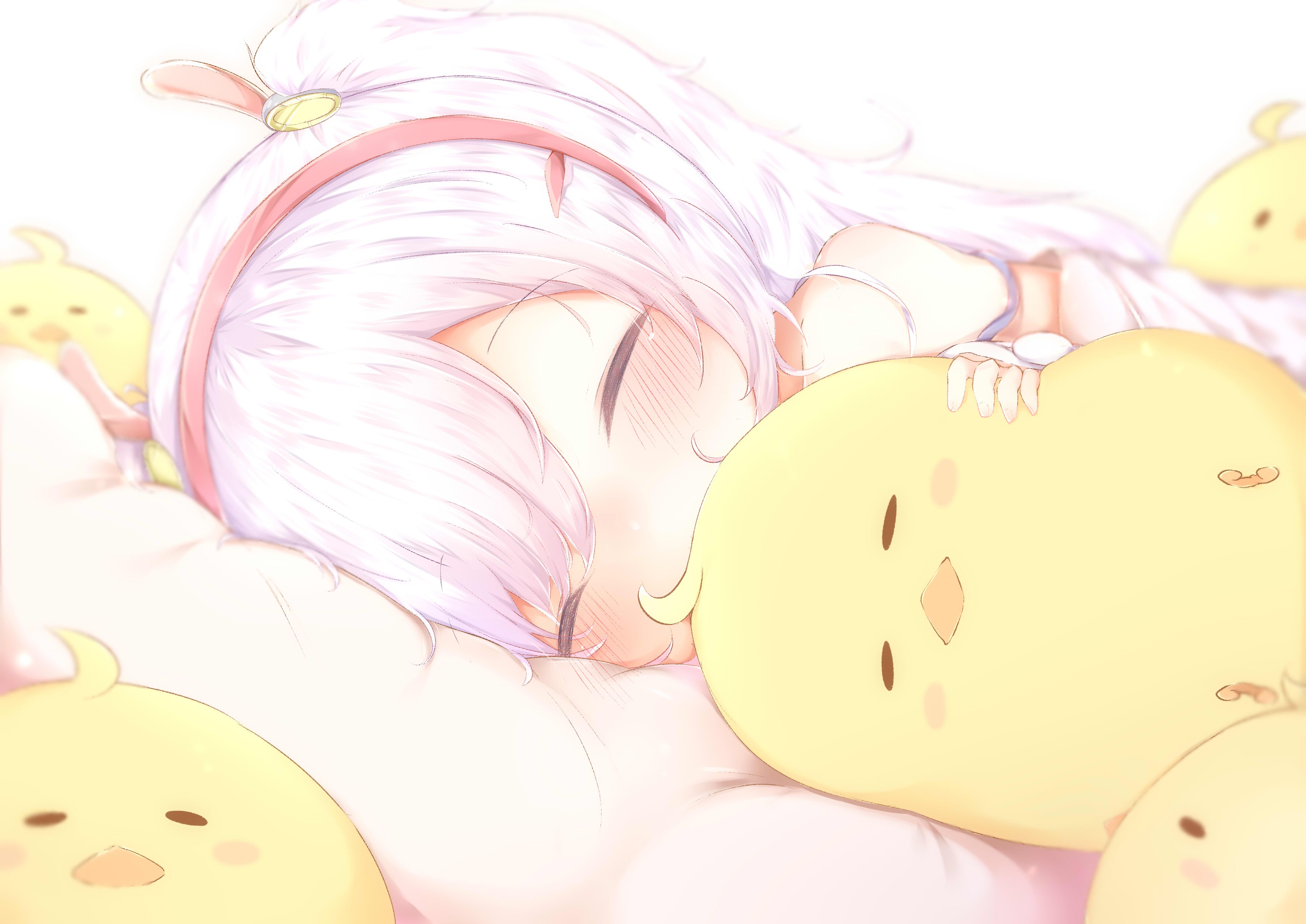 Azur Lane girl sleeping with chick plushies HD Wallpaper