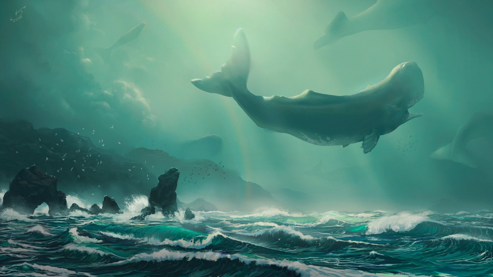 Whales swimming in a misty ocean with rocky coast HD Wallpaper