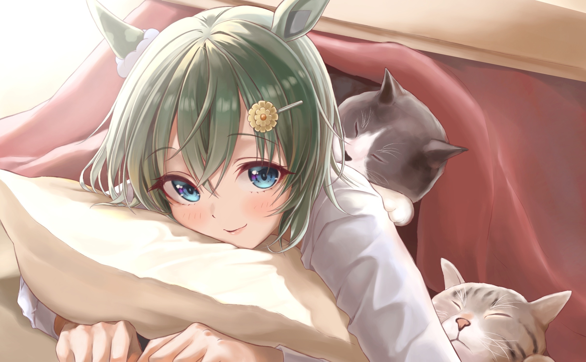 Seiun Sky from Uma Musume Pretty Derby with Cats HD Wallpaper