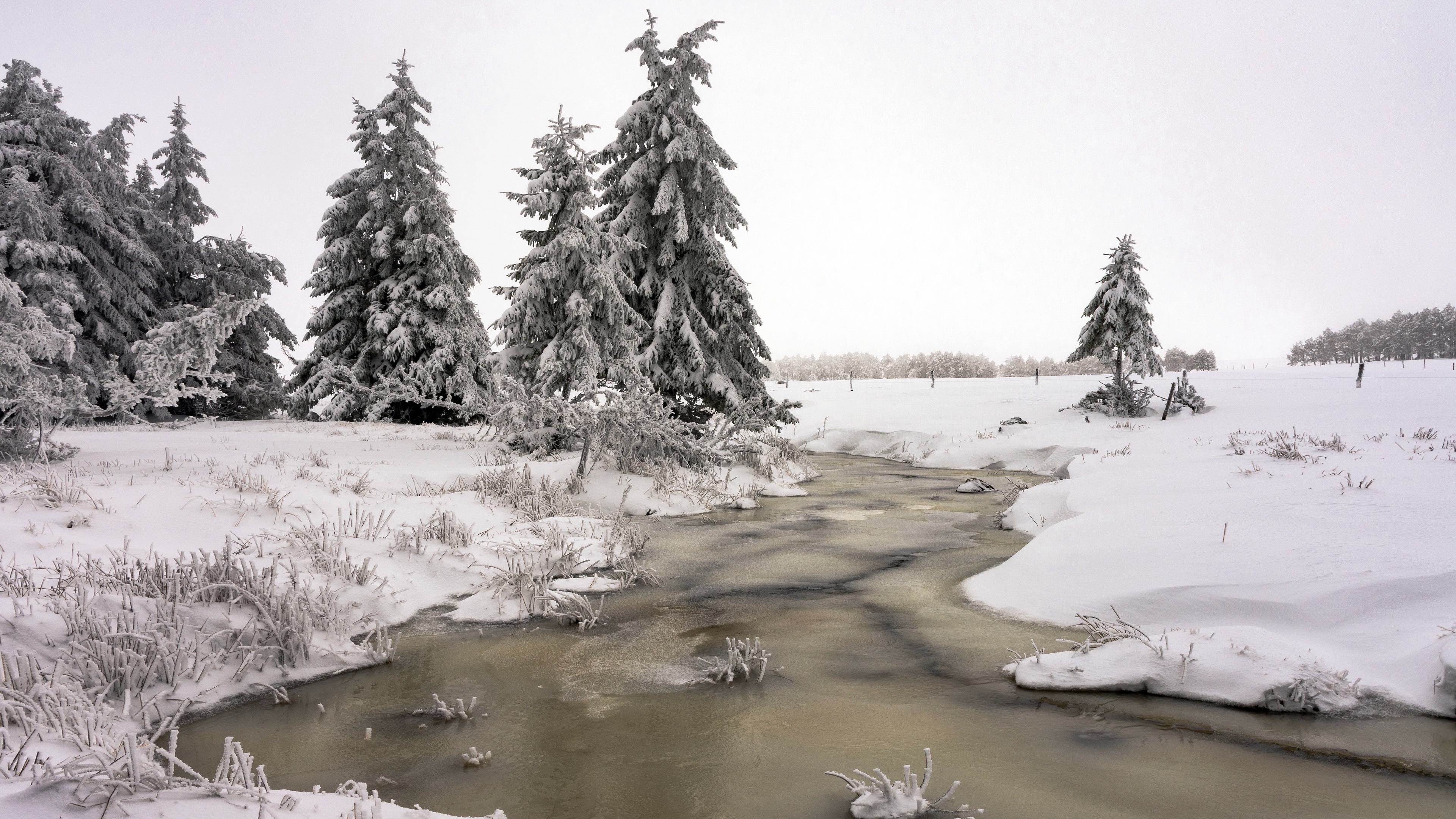 4K winter landscape with snow-covered trees and creek HD Wallpaper