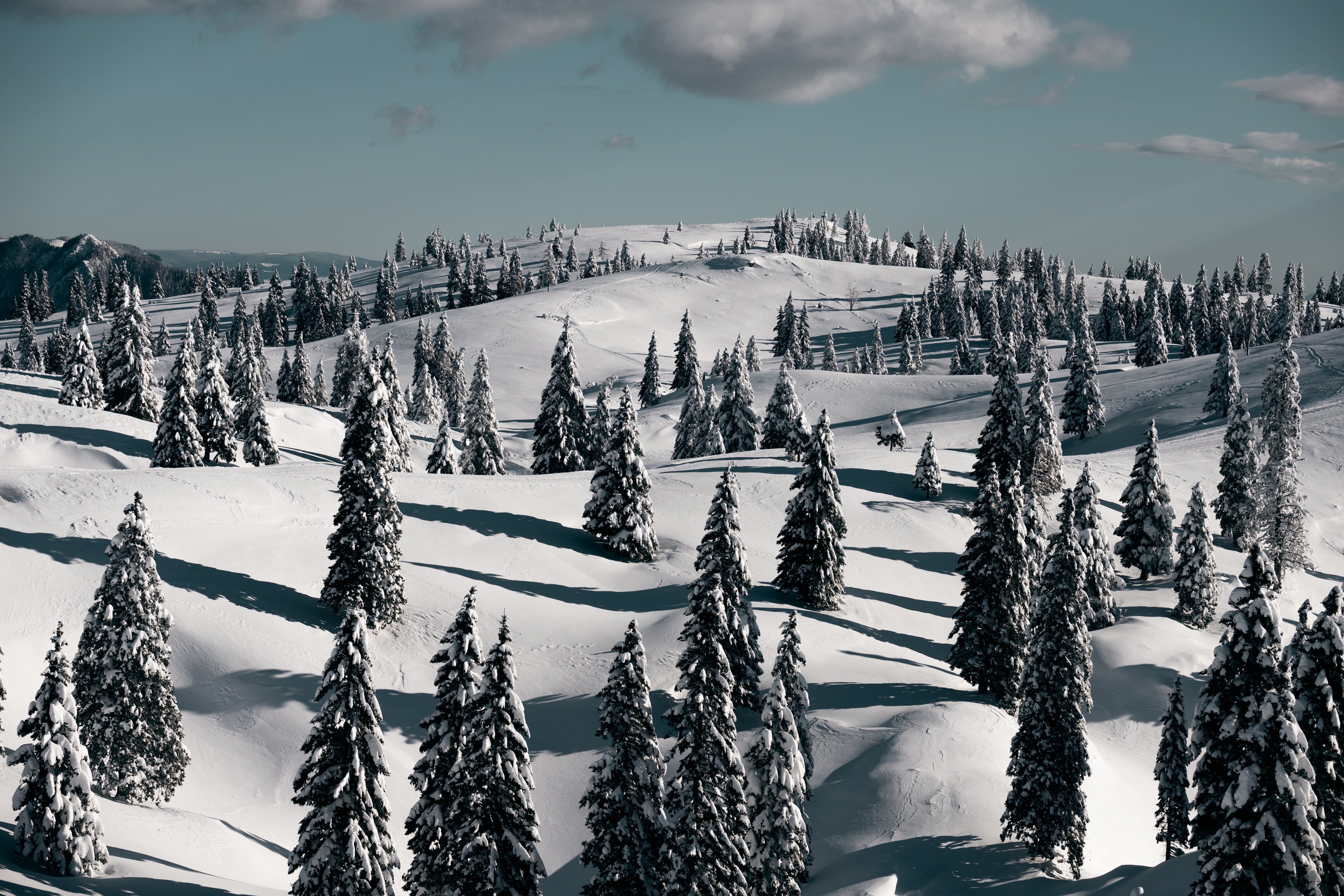 Snowy mountain landscape with pine trees HD Wallpaper