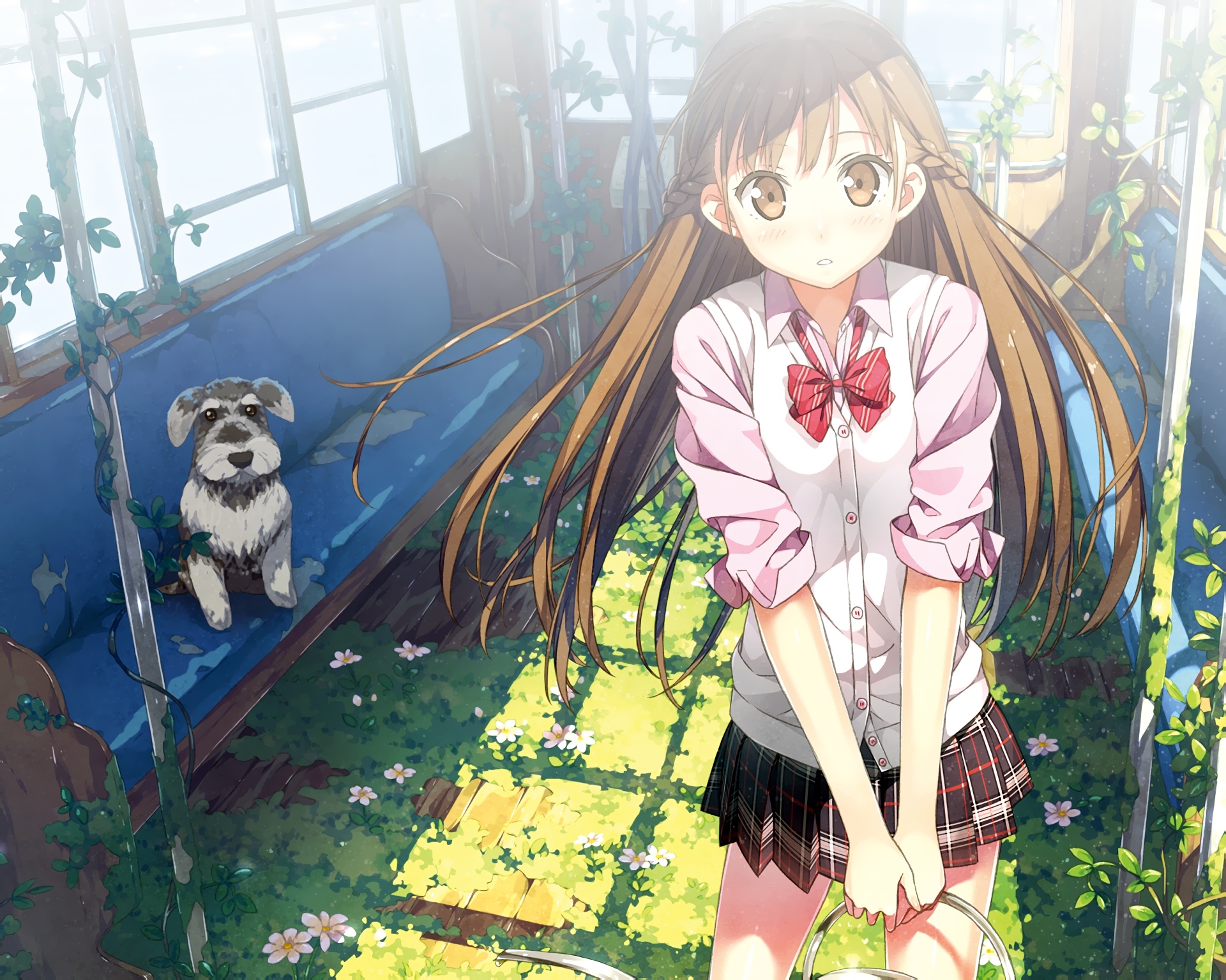 Afterschool of the 5th year: Girl and Dog HD Wallpaper