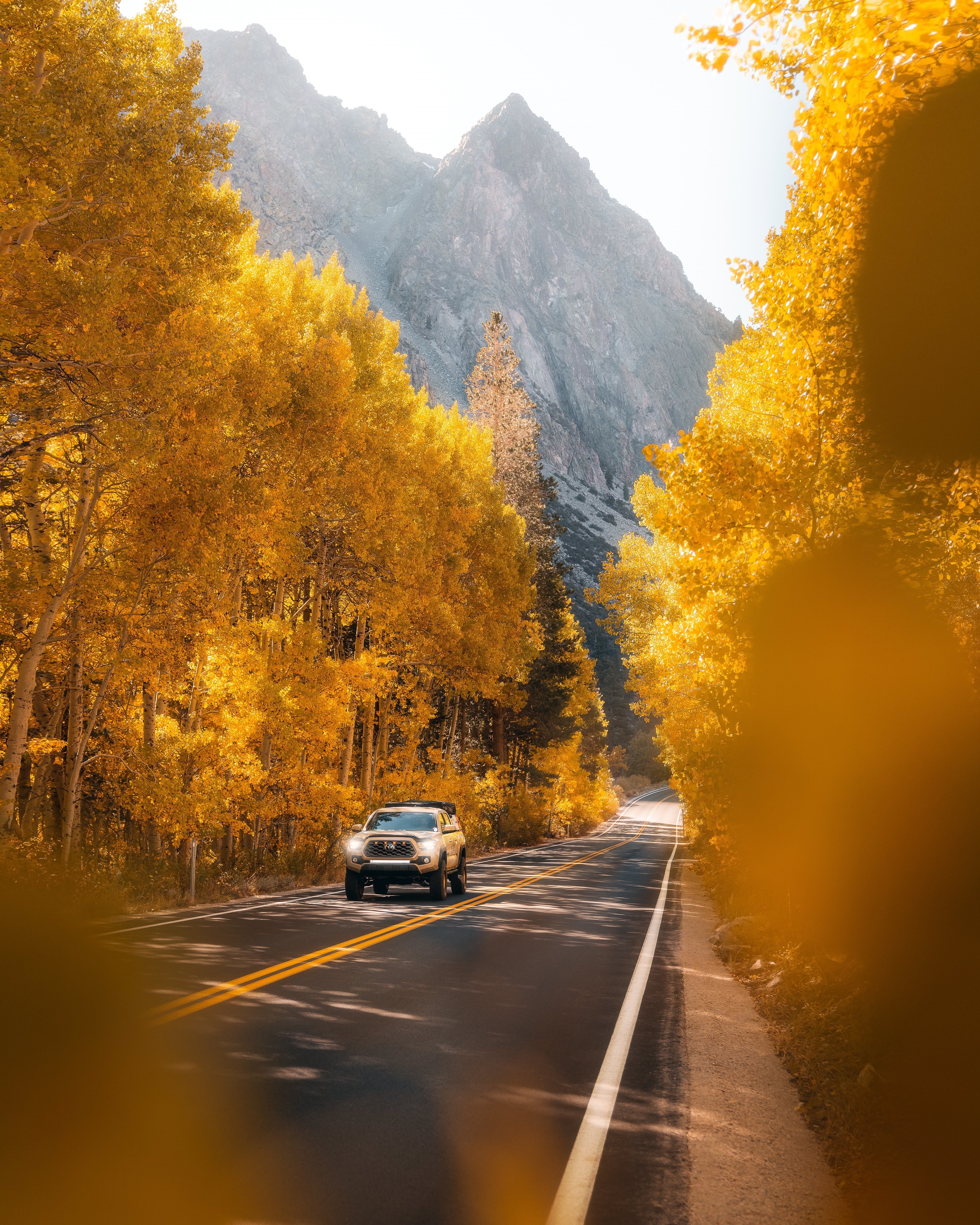 Car driving on a road through autumn trees with mountains HD Phone Wallpaper