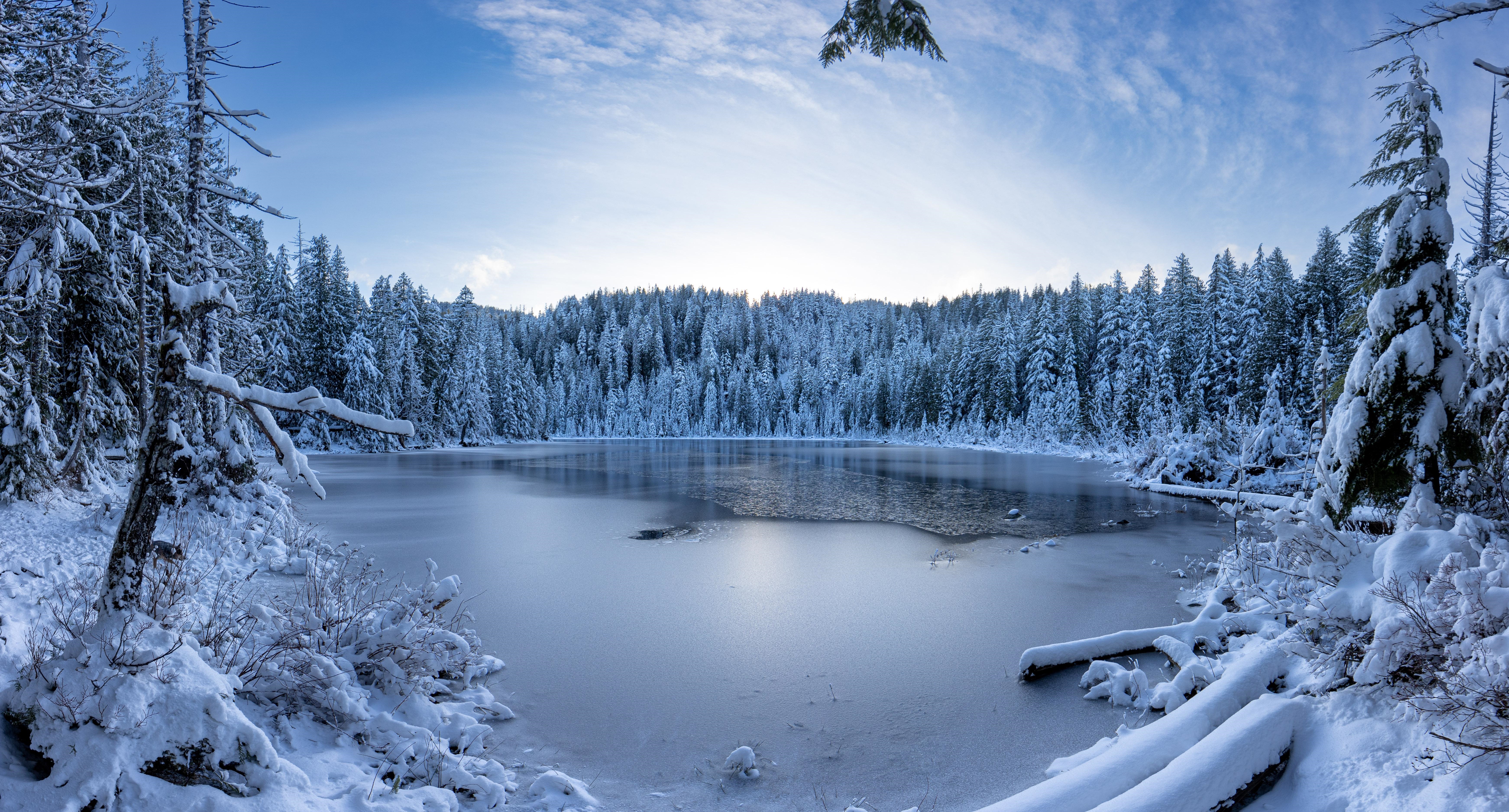 4K winter landscape of a snow-covered forest and frozen lake HD Wallpaper