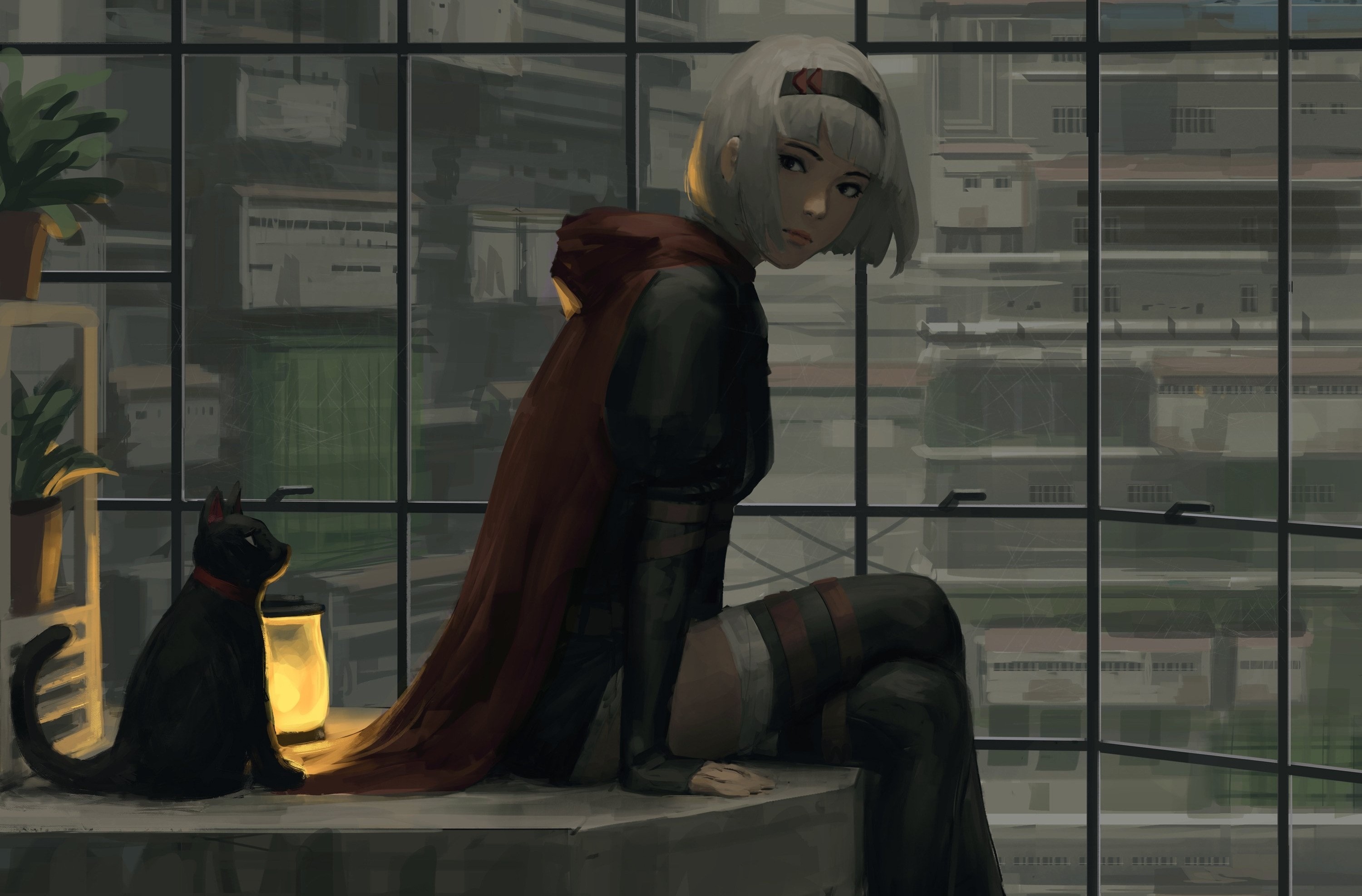 Fantasy girl and black cat by the window HD Wallpaper