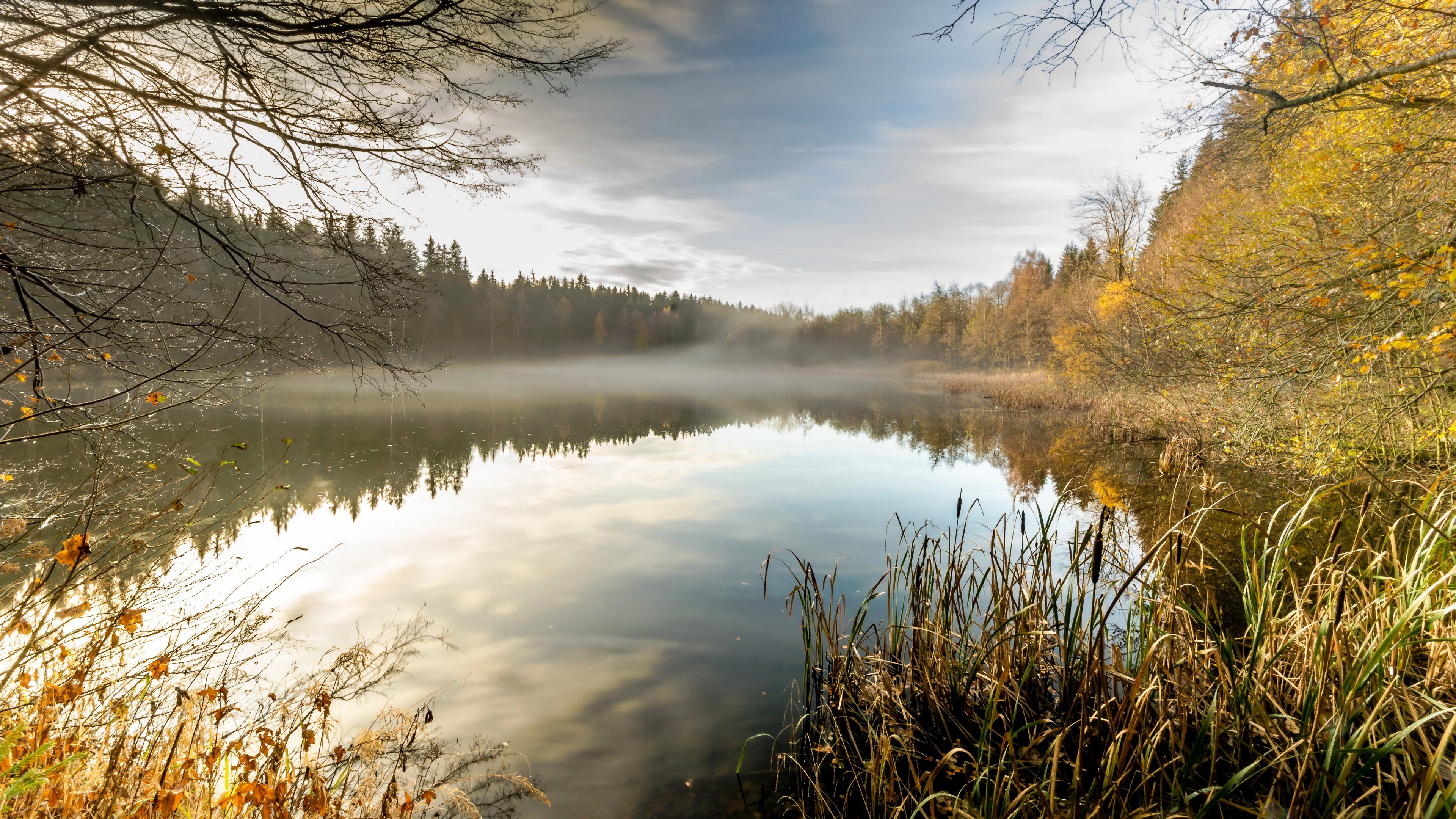 Lake with fog and autumn trees HD Wallpaper