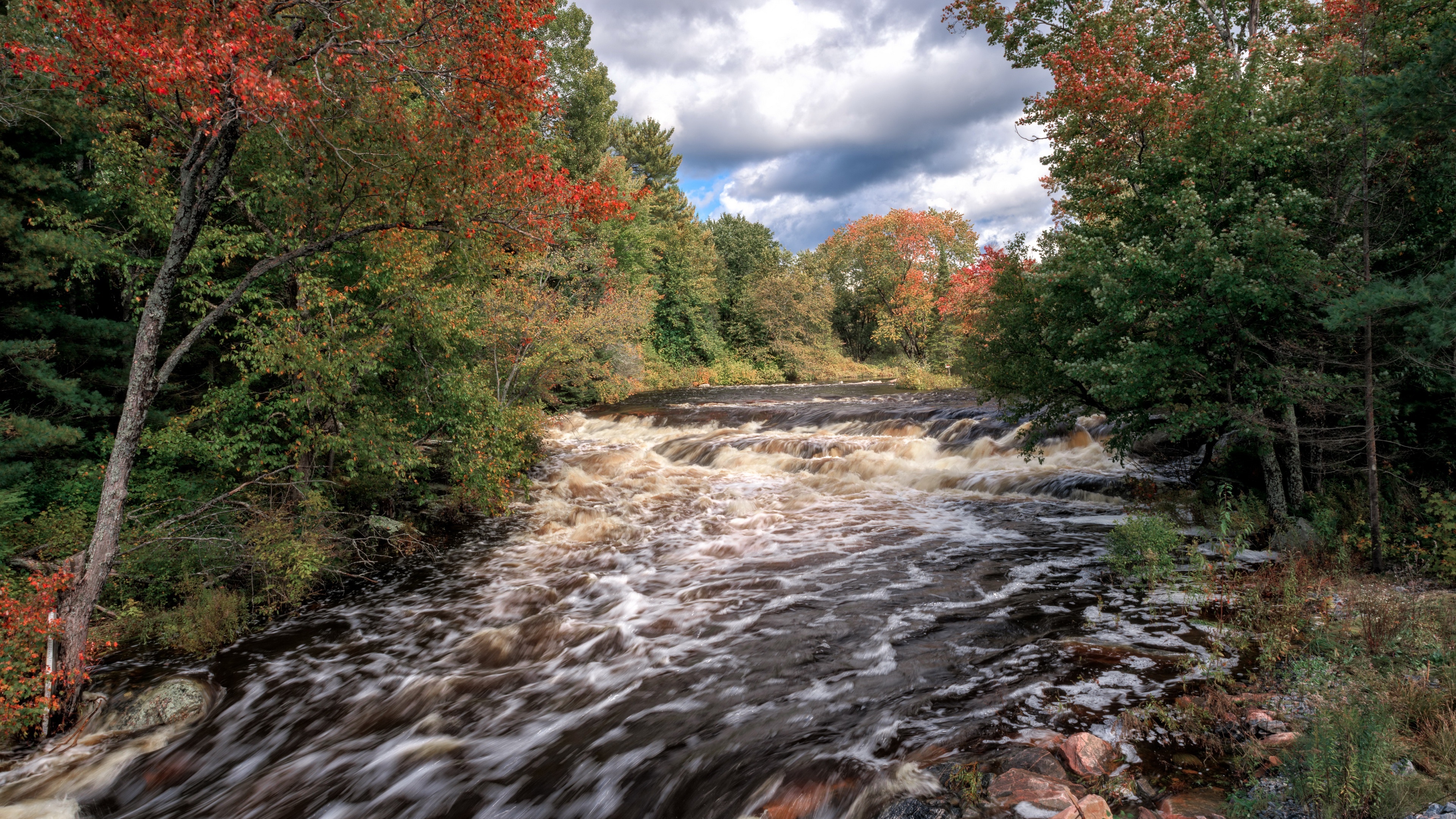 4K River in Autumn Forest HD Wallpaper