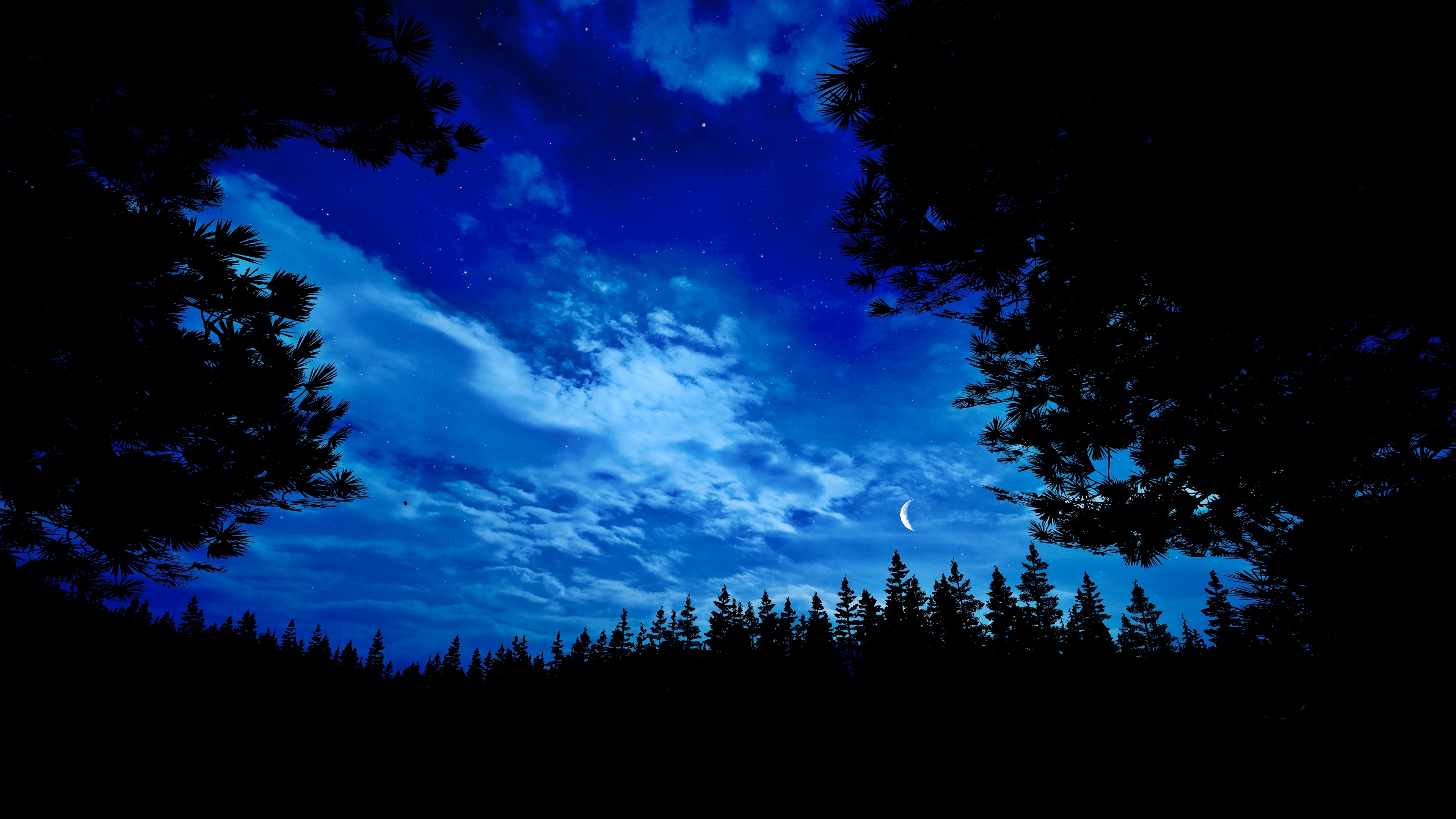 Far Cry 5 4K Night Forest with Crescent Moon HD Wallpaper