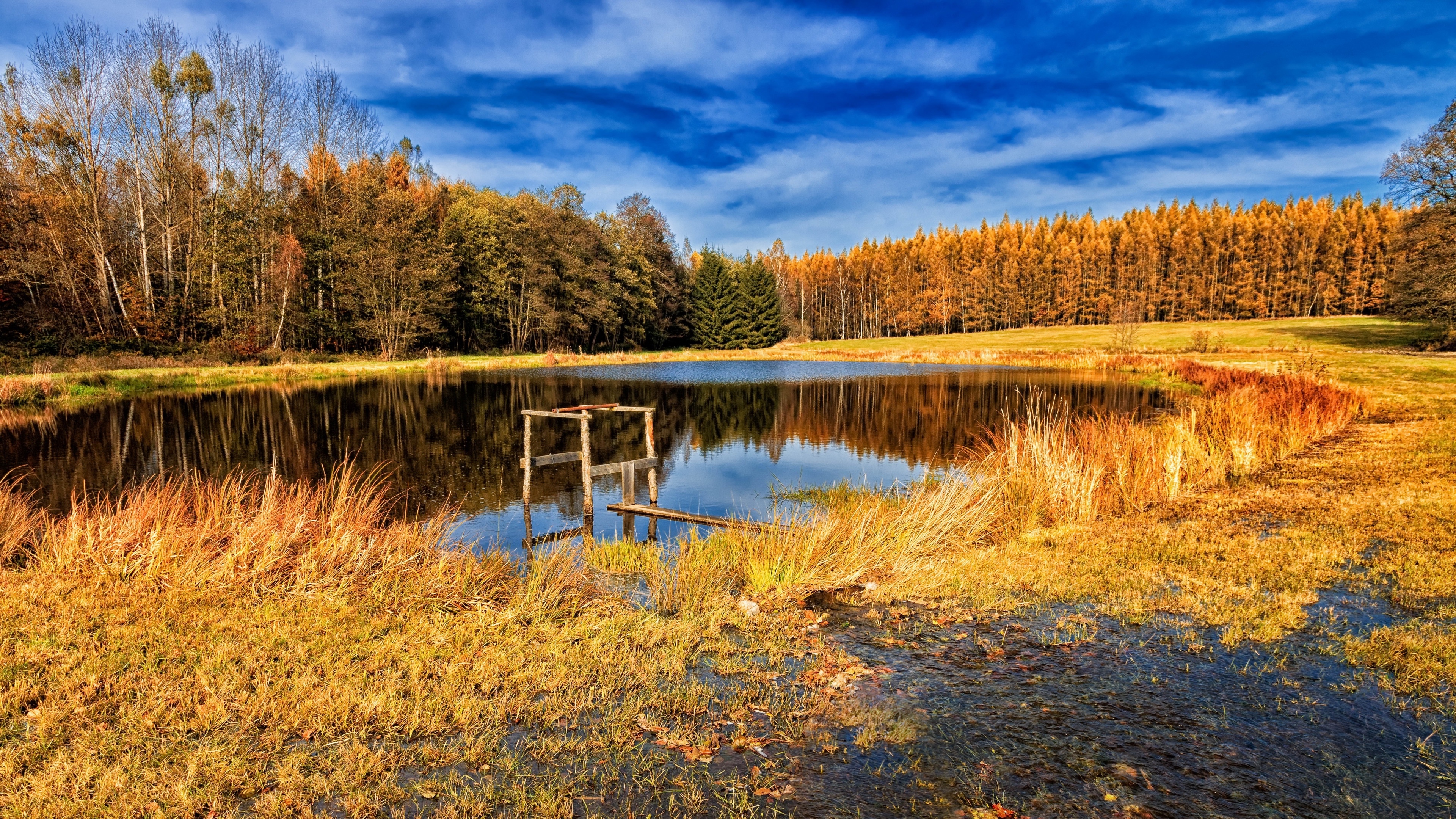 4K autumn landscape with a pond and trees HD Wallpaper