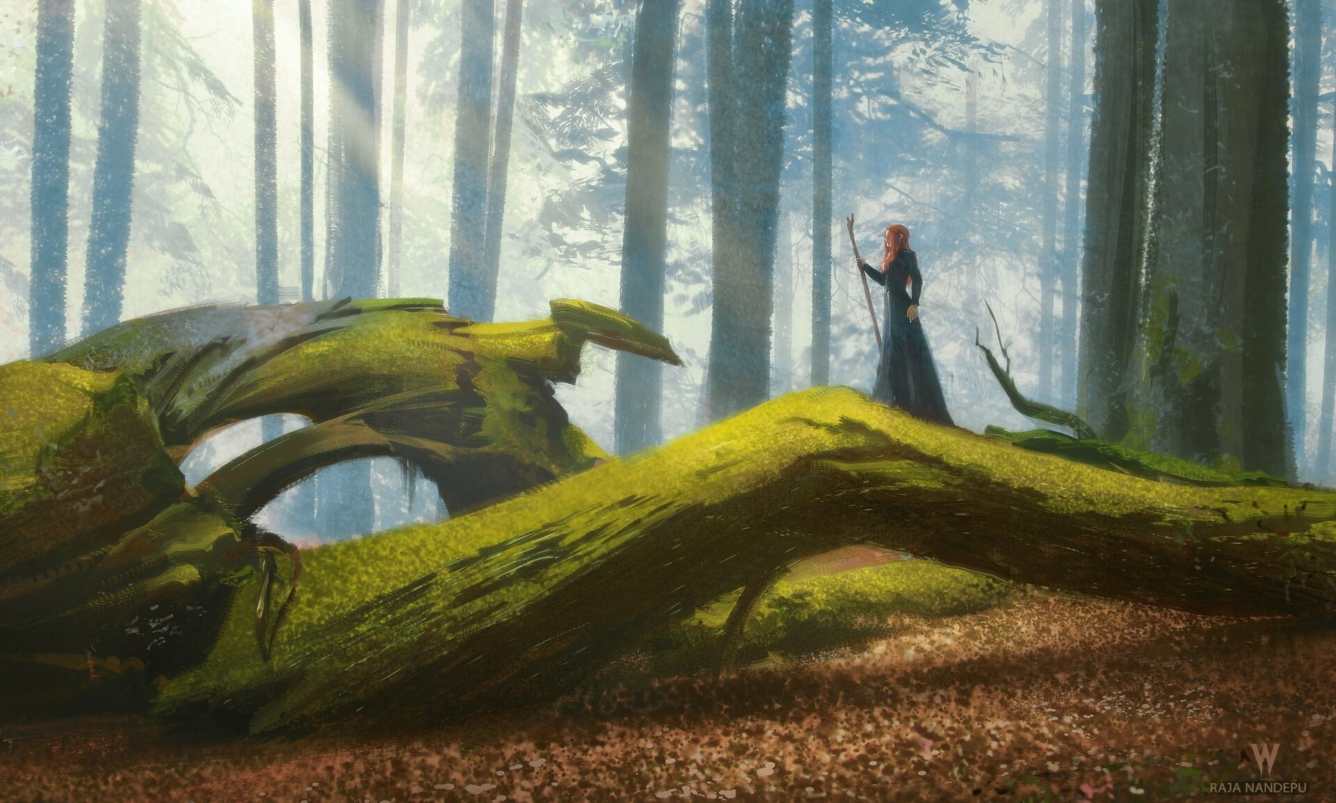 Woman with staff in a mossy forest by Raja Nandepu HD Wallpaper