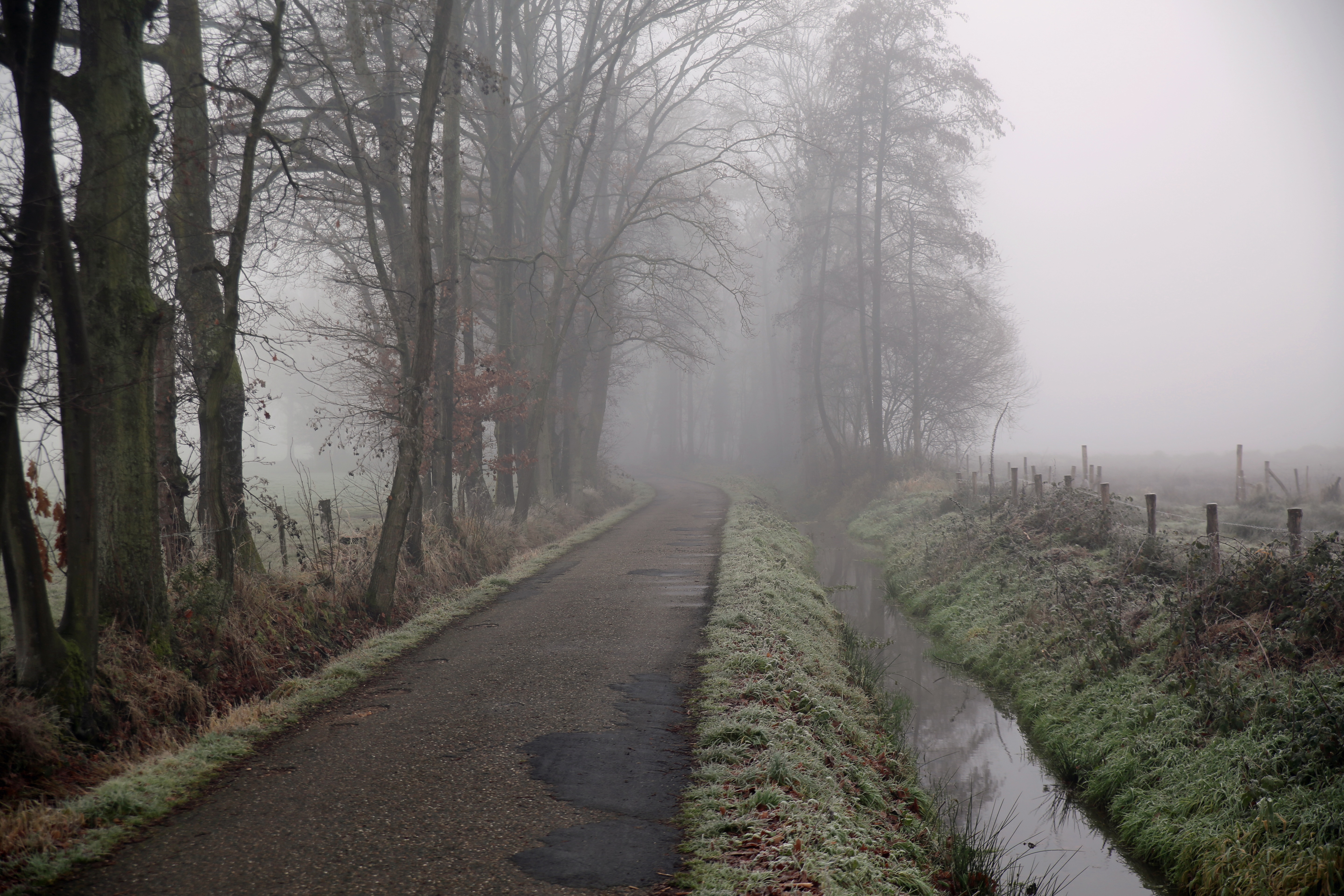4K misty road in fall HD Wallpaper