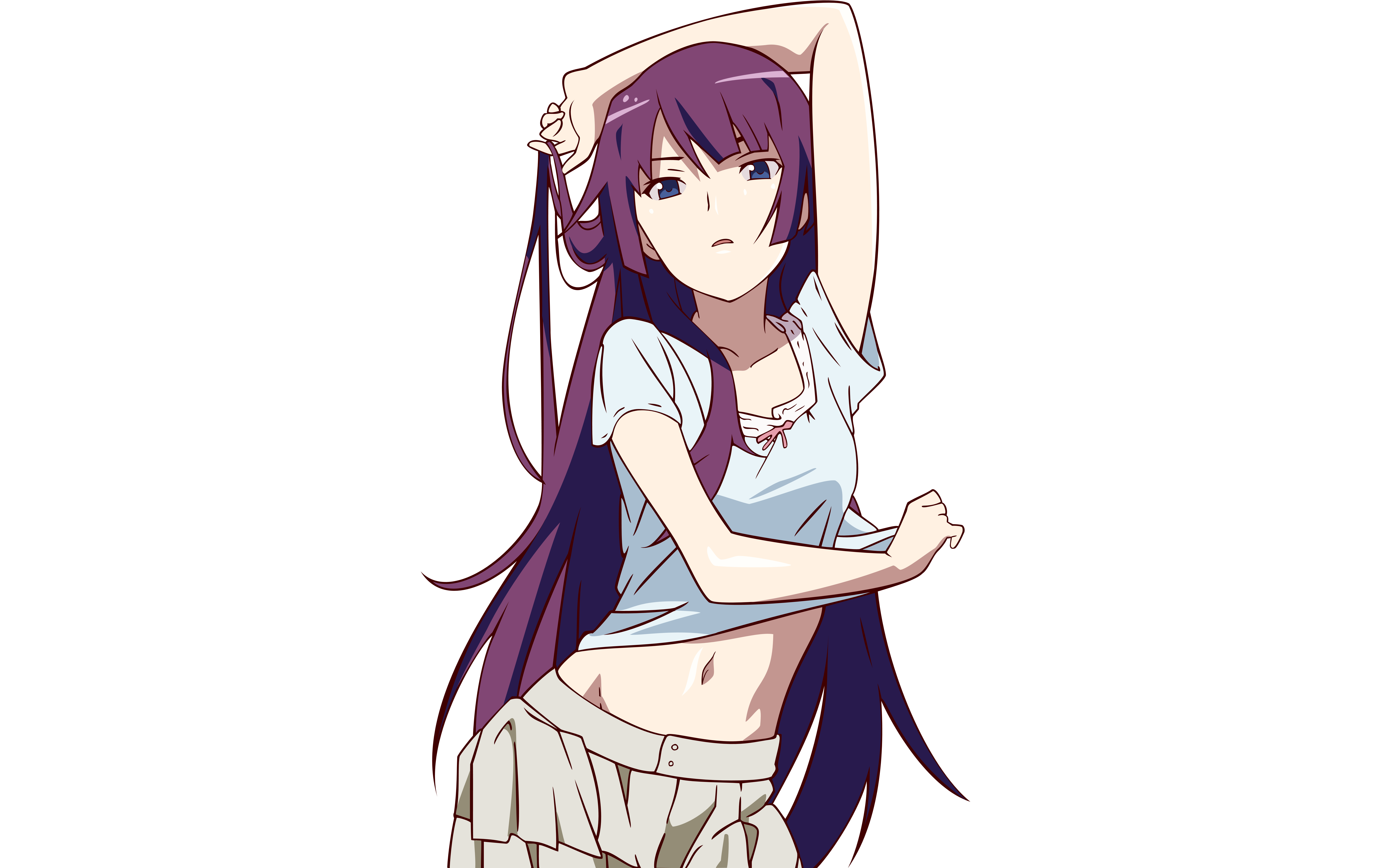 Senjougahara Hitagi from Monogatari Series HD Wallpaper