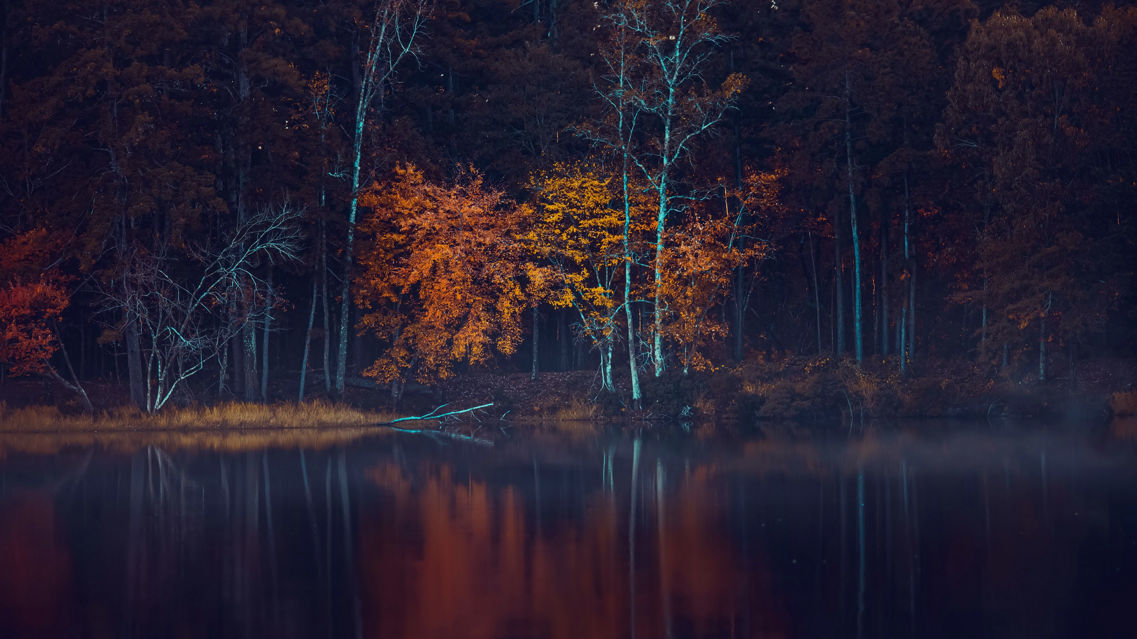 4K Fall Trees Reflecting in Water HD Wallpaper