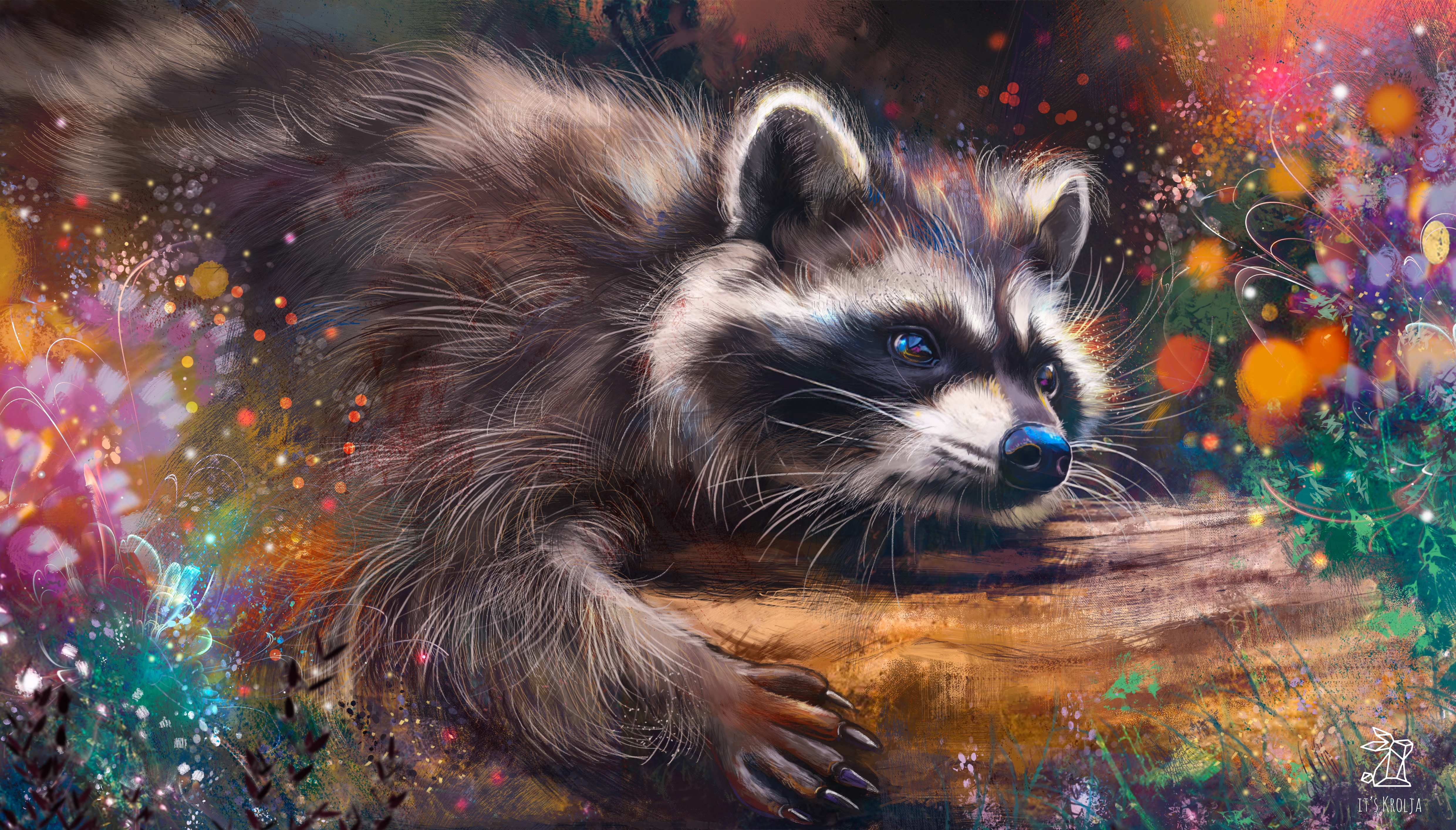4K Raccoon by itskrolja HD Wallpaper