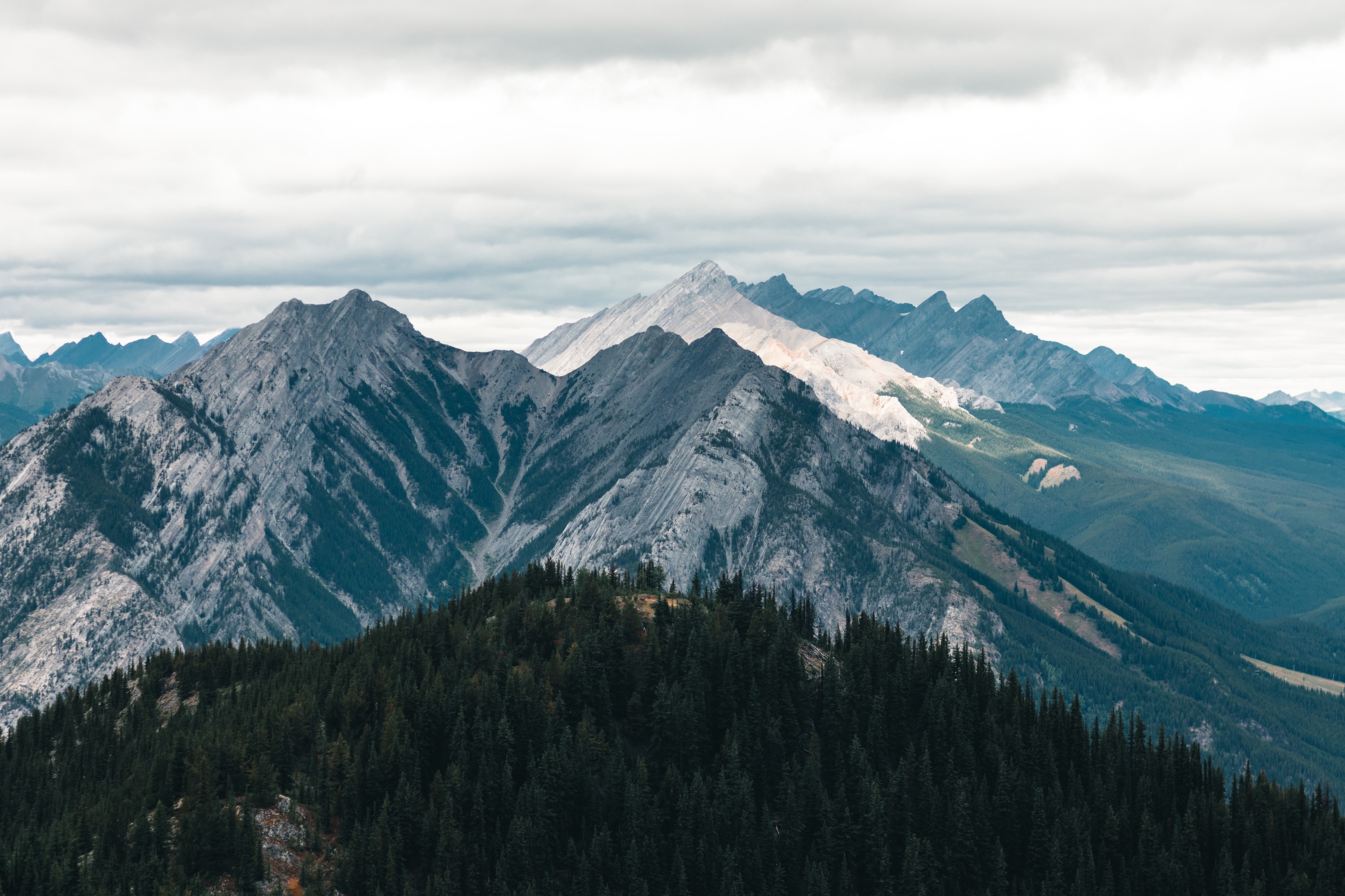 Dark green forest in front of majestic mountains under cloudy sky HD Wallpaper