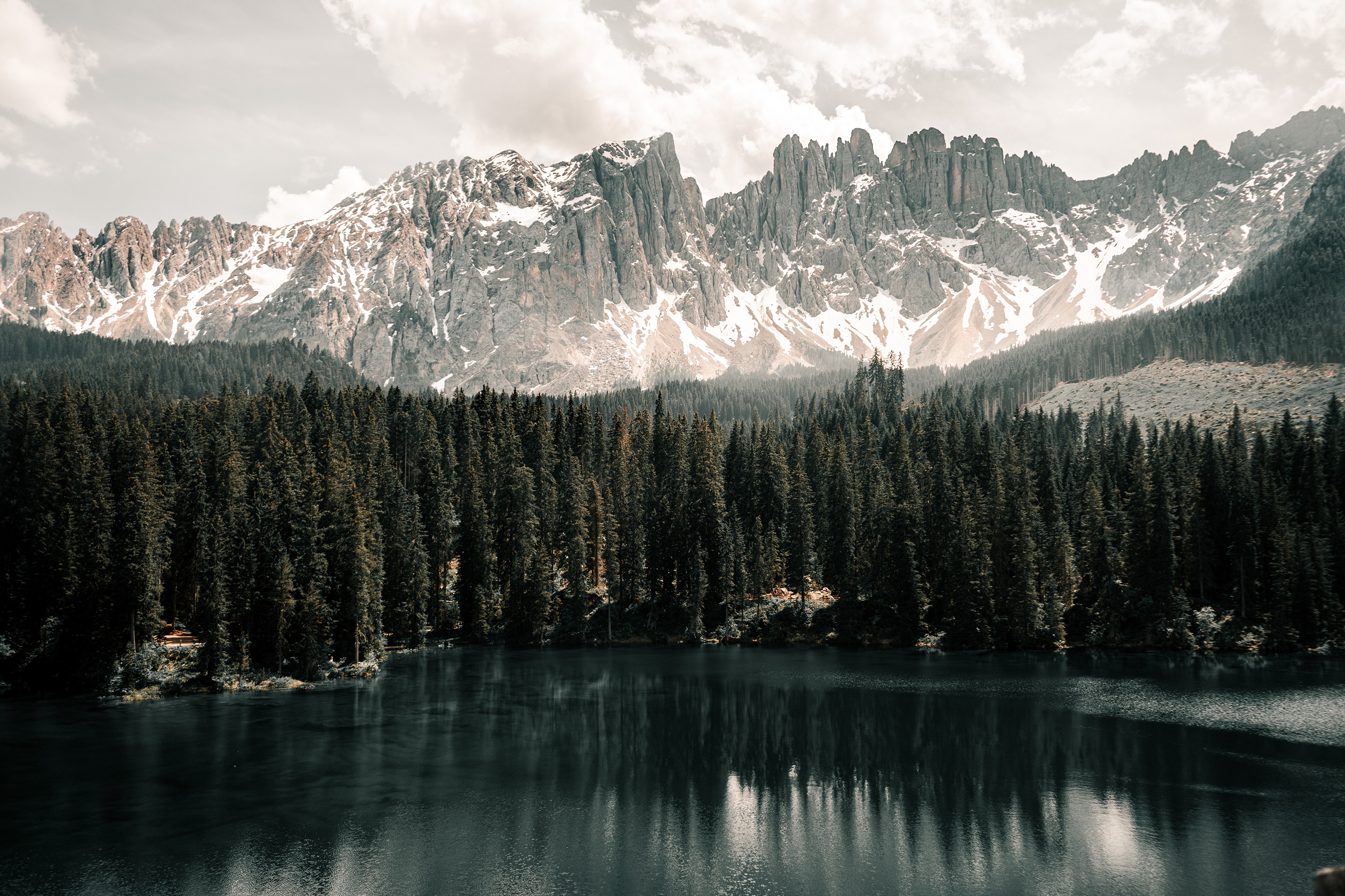 Lake and snow-capped mountains with a dense pine forest HD Wallpaper
