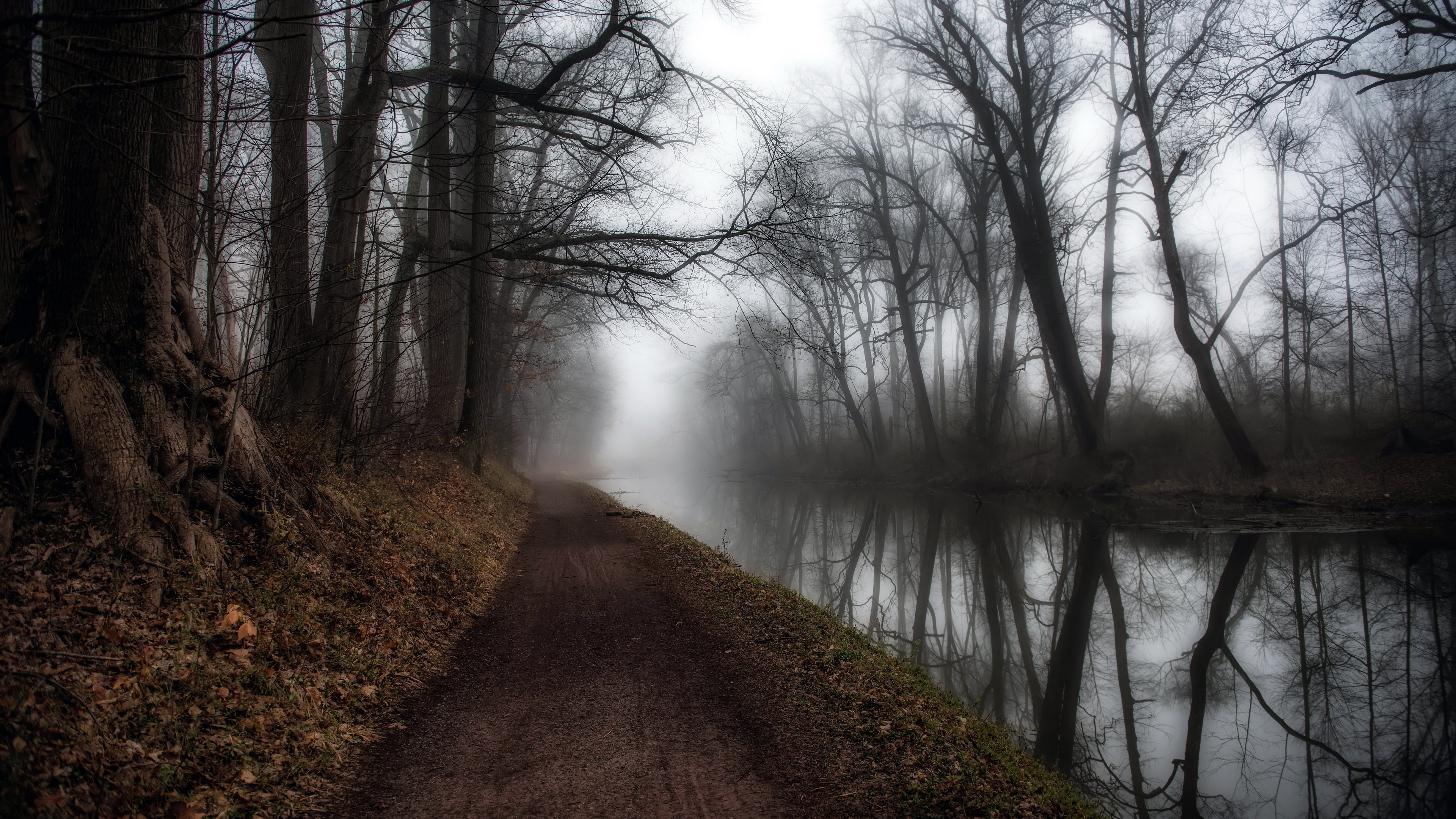 4K pathway along a foggy canal with trees HD Wallpaper