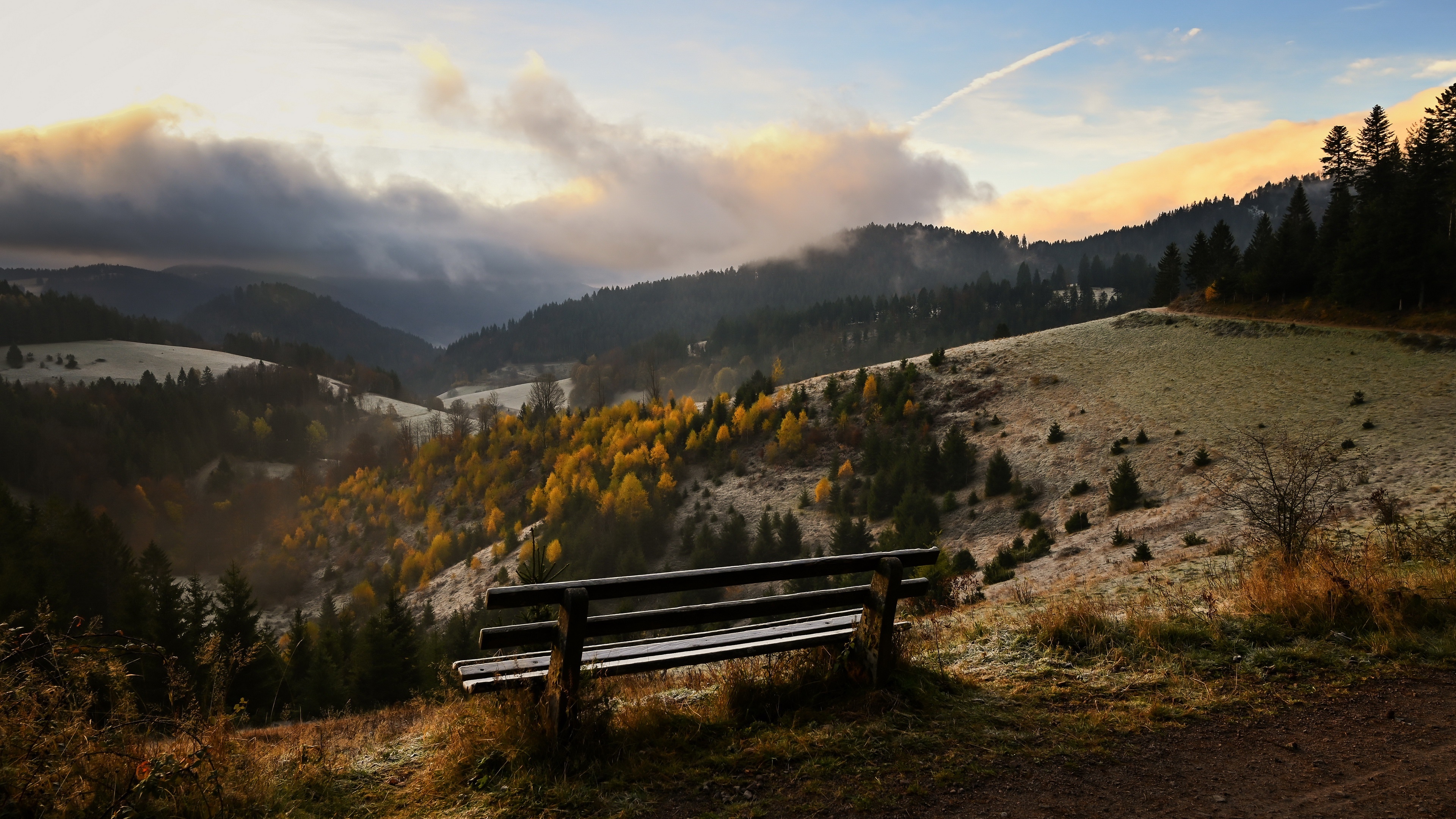 4K bench overlooking a misty autumn landscape HD Wallpaper