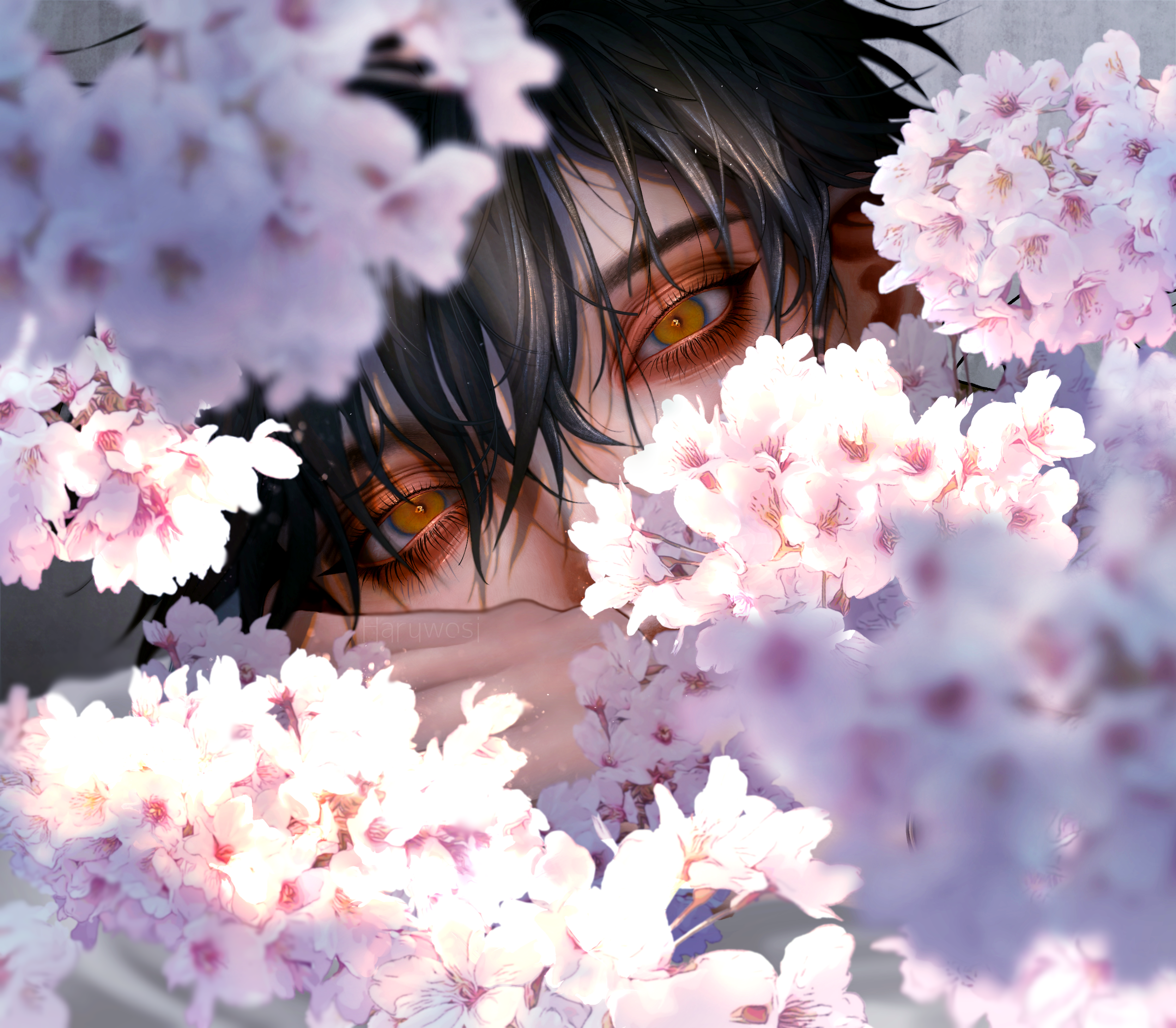 Anime boy with amber eyes surrounded by cherry blossoms HD Wallpaper