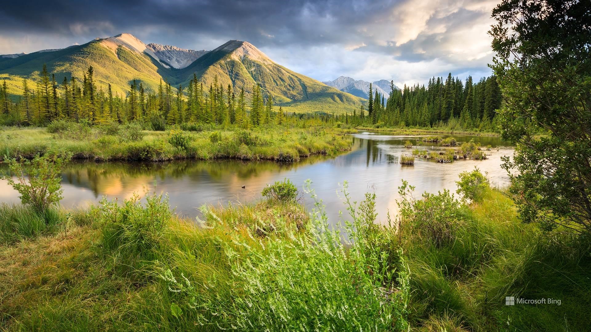 Nature Wallpaper Bing Nature Wallpaper Bing