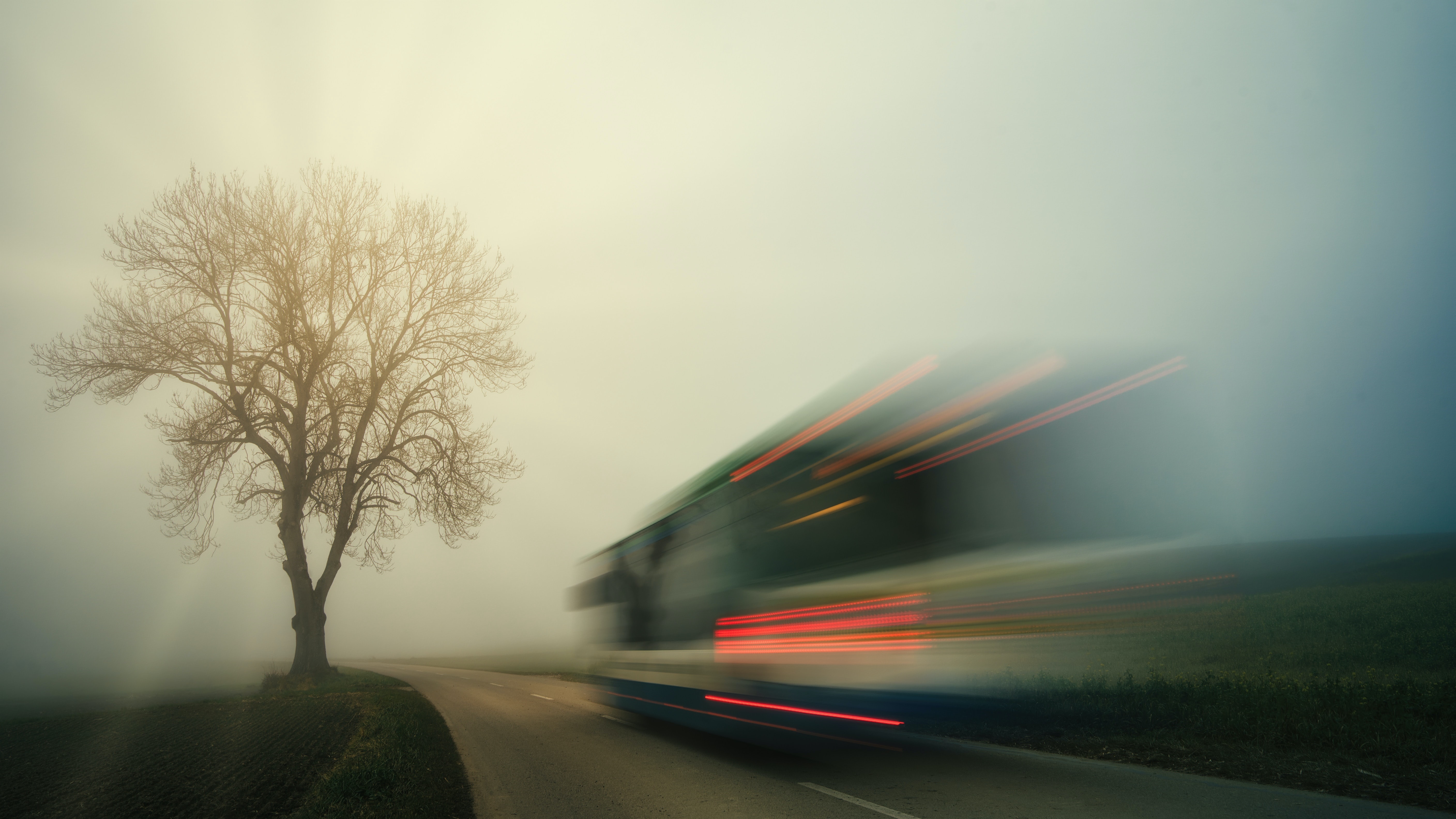 4K motion blur of a bus on a misty road near a tree HD Wallpaper