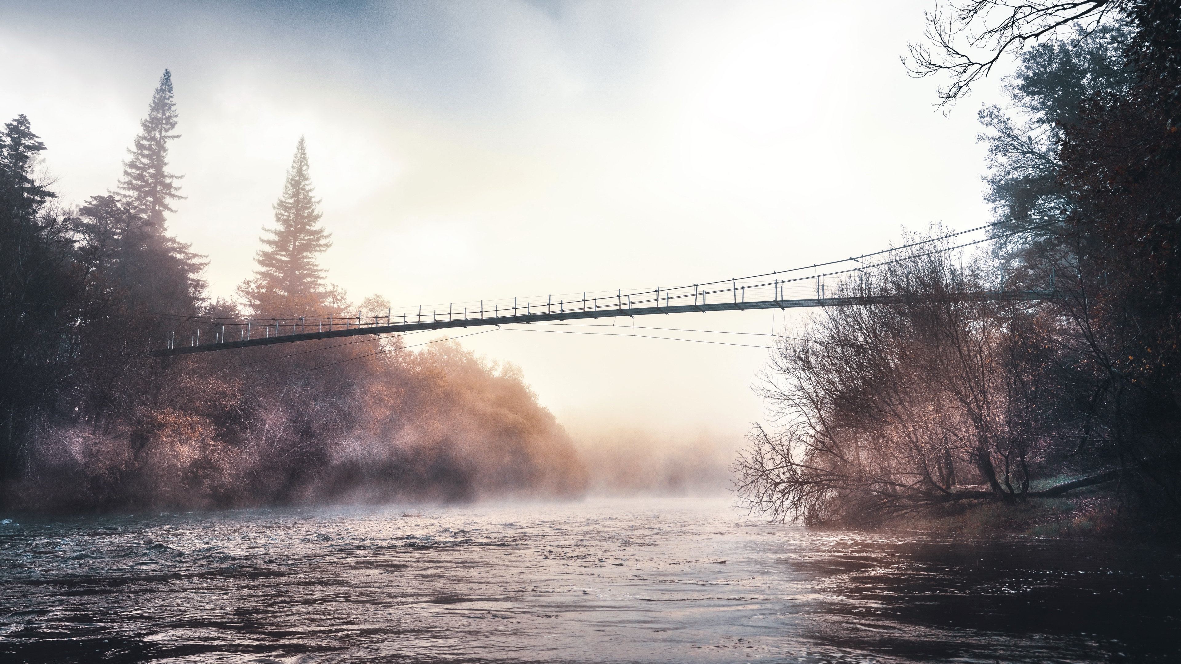 4K bridge over a misty river with trees HD Wallpaper