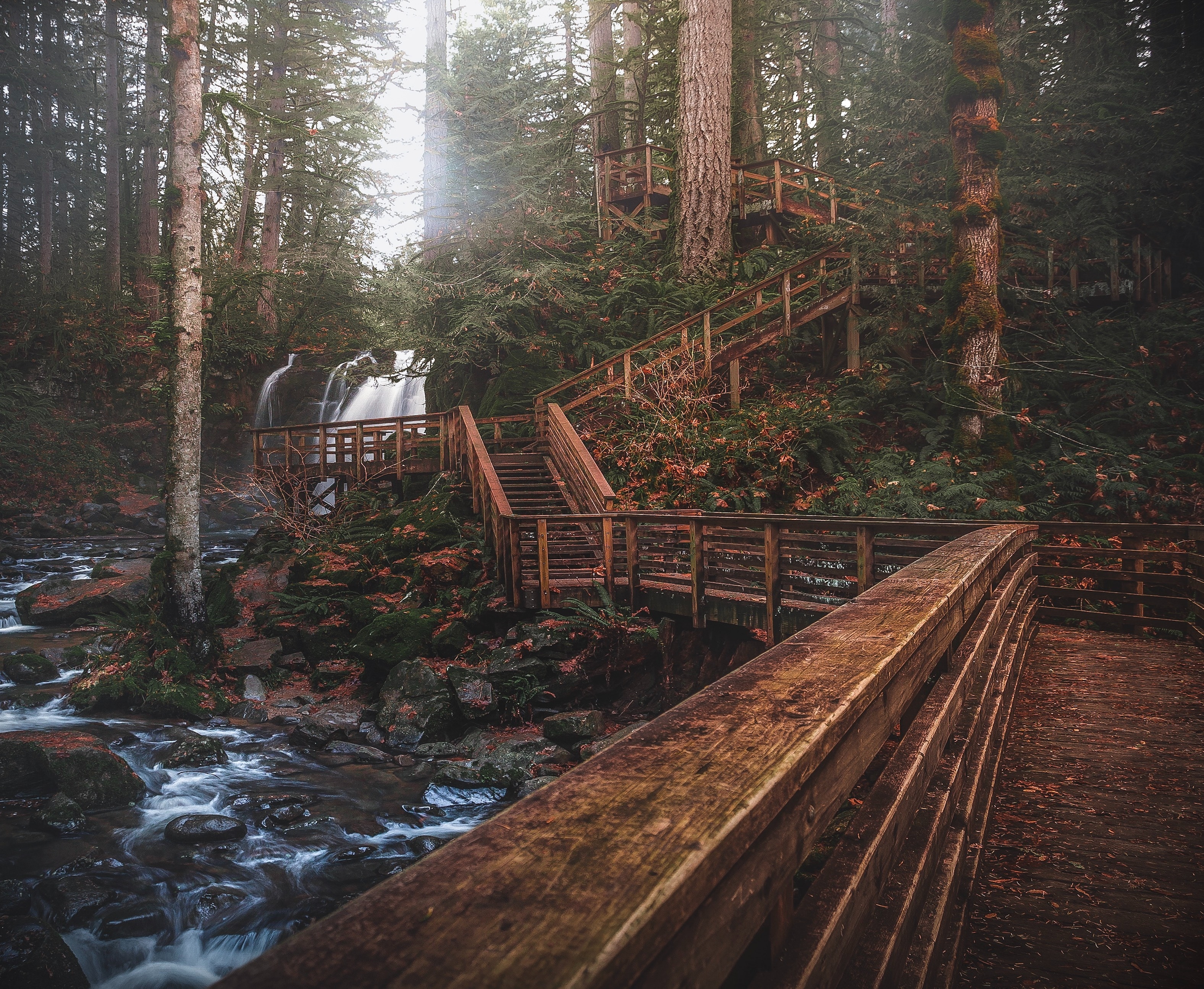 Wooden boardwalk and stairs by a waterfall in a forest HD Wallpaper