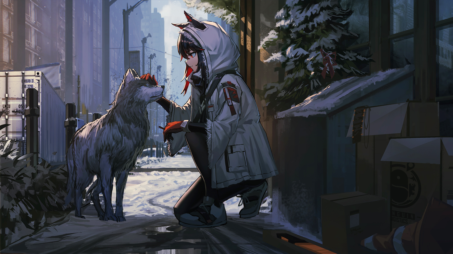 Texas and a wolf in a snowy urban environment HD Wallpaper