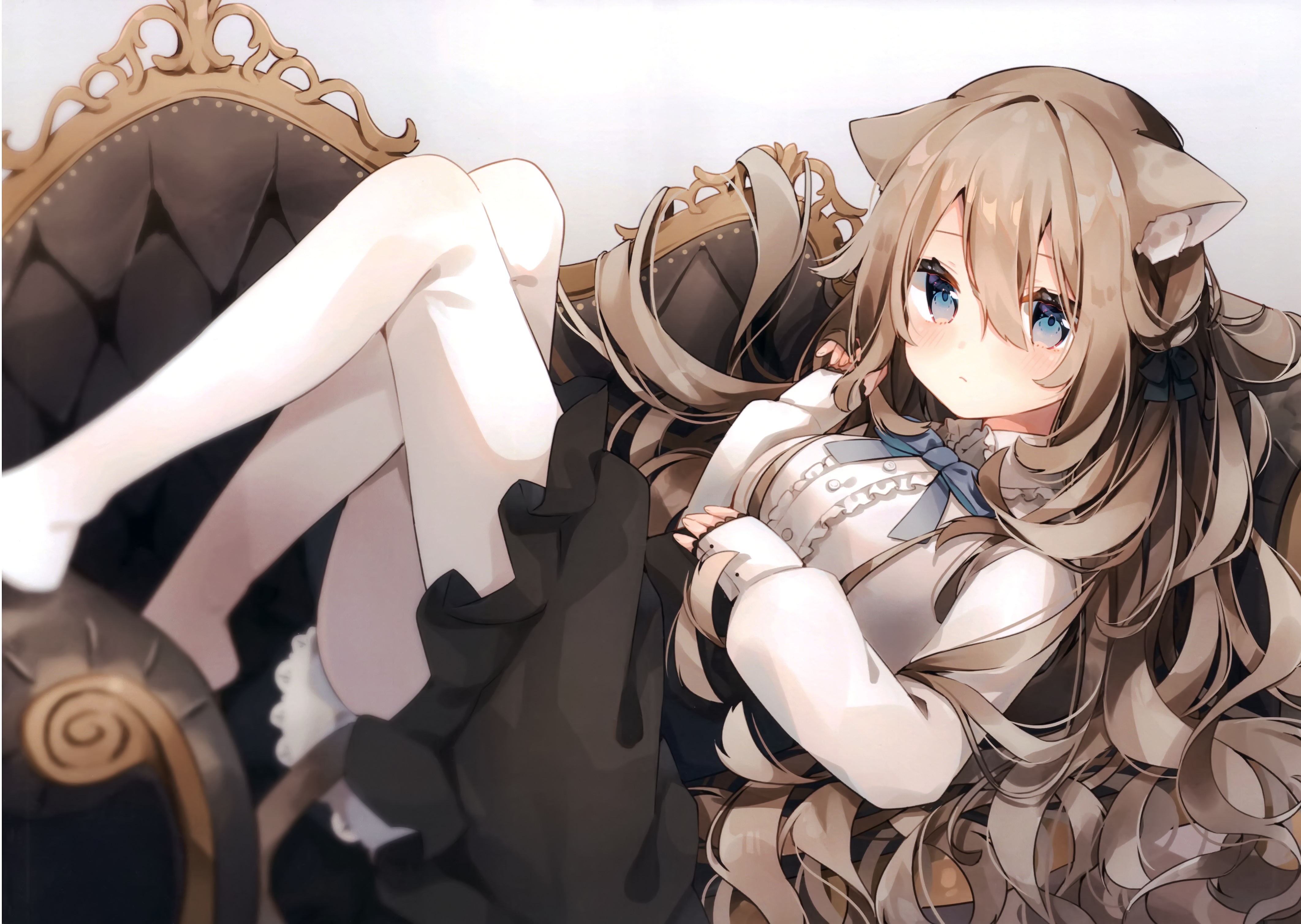 Cat girl in white pantyhose and frill dress HD Wallpaper