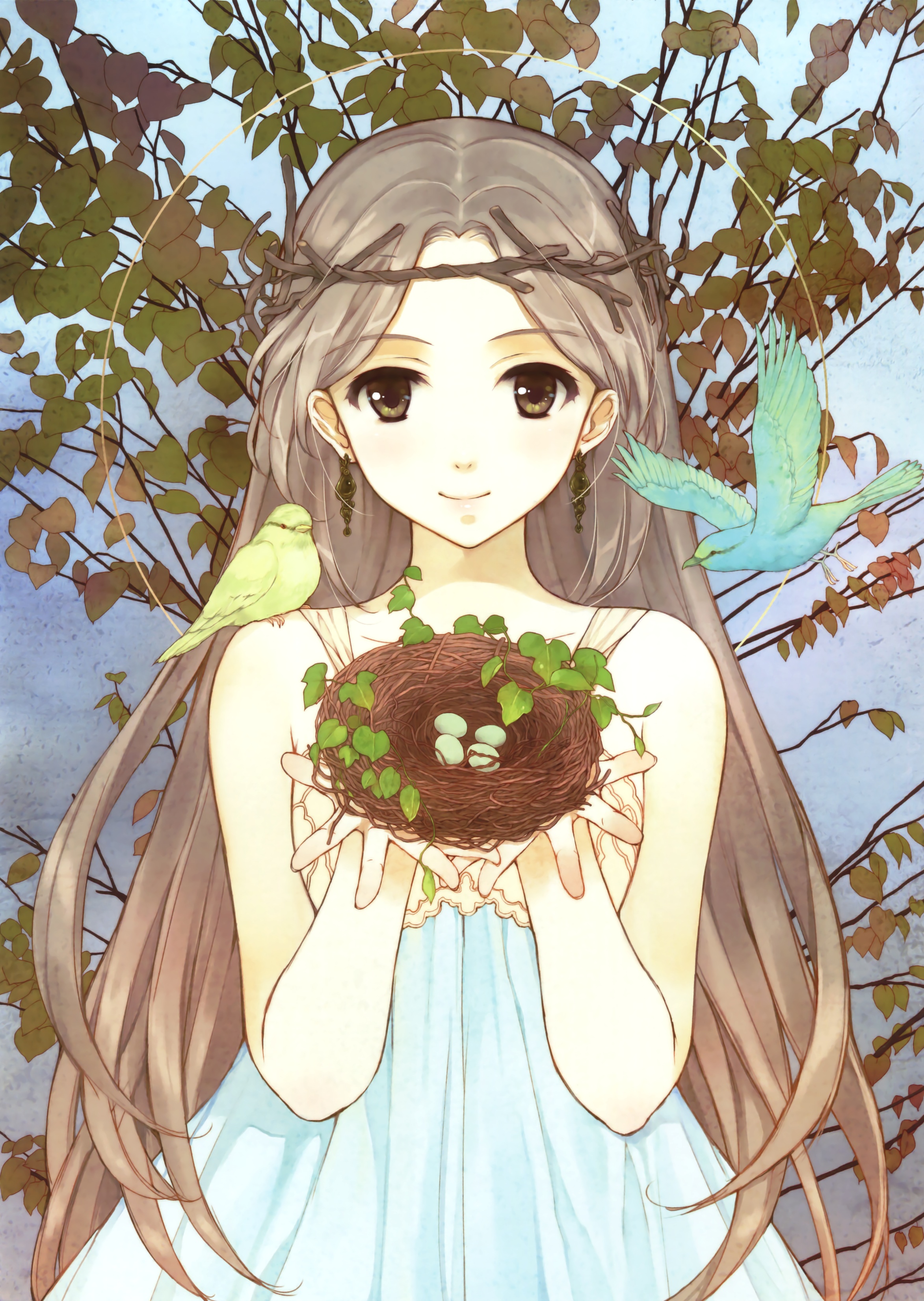 Girl holding a bird's nest with eggs and birds HD Phone Wallpaper