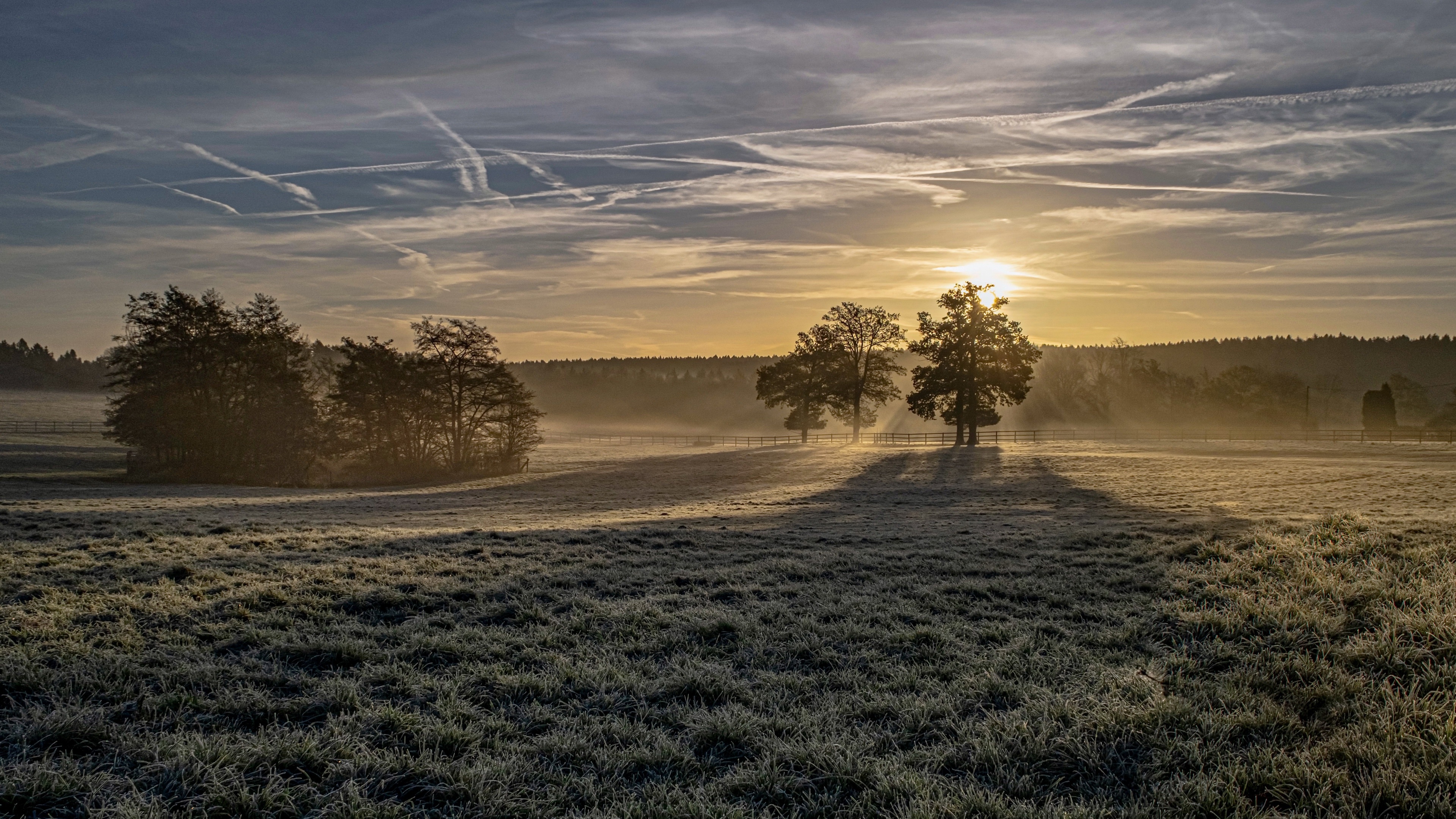 4K Winter Sunrise Over Frosty Field with Trees HD Wallpaper