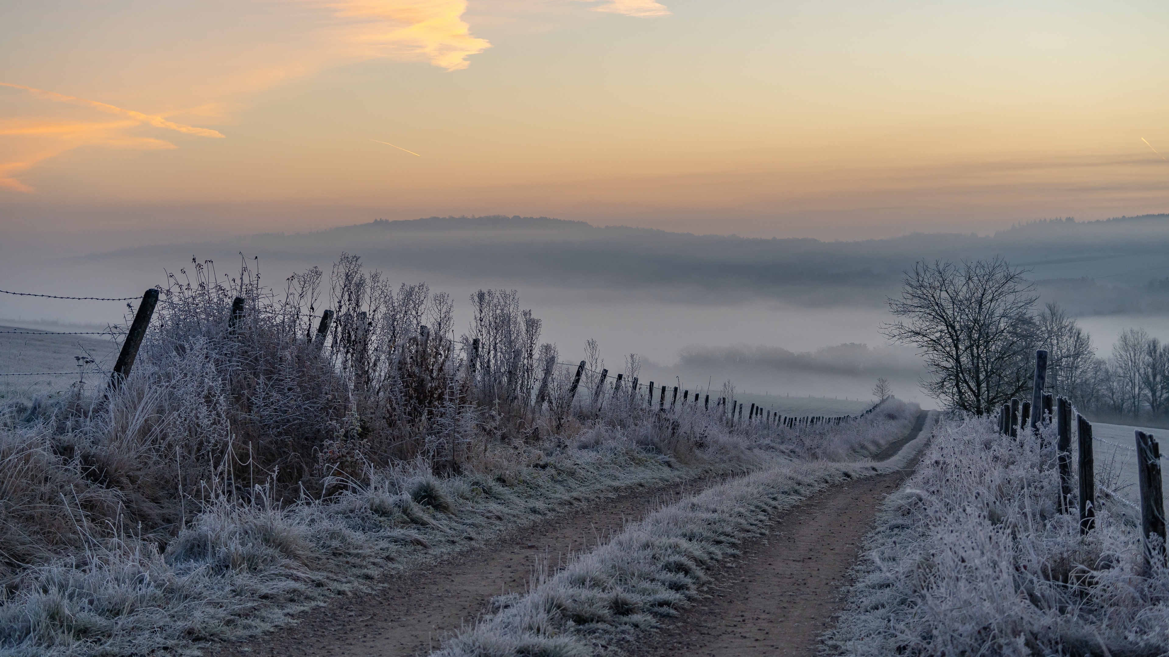 4K winter landscape with a frosty dirt road HD Wallpaper