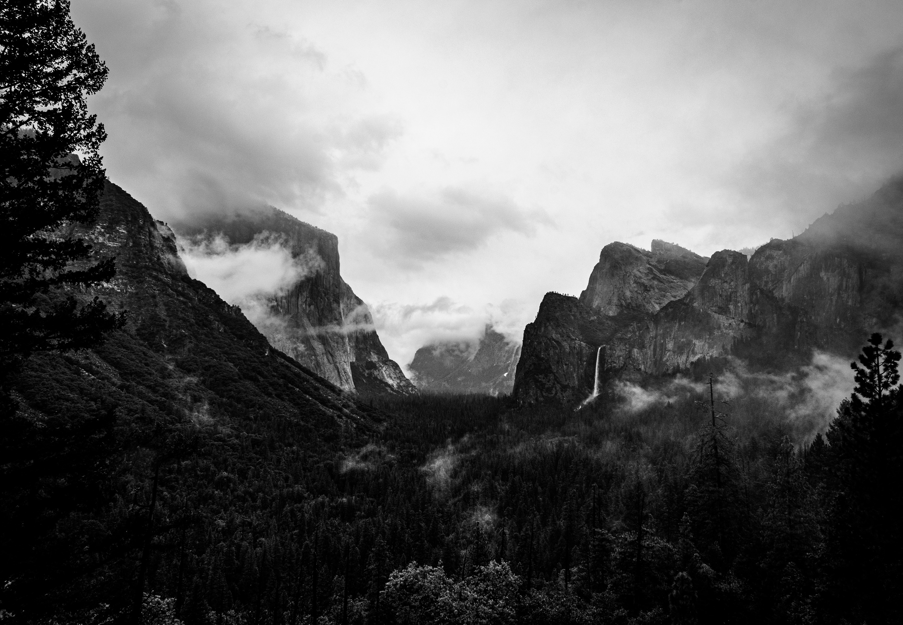 Monochrome landscape of Yosemite National Park with mountains and forest HD Wallpaper