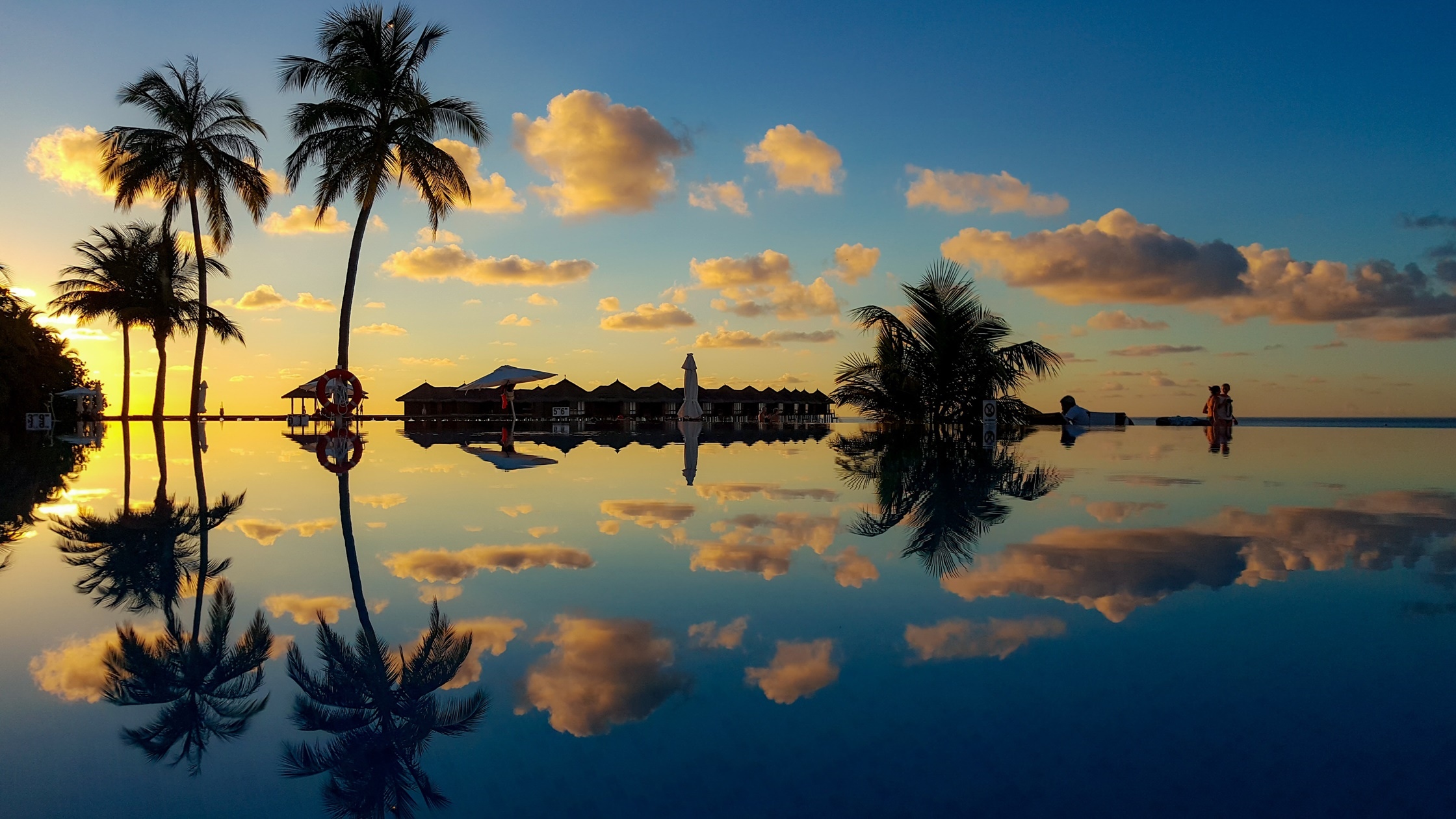 Sunset over tropical resort with palm trees and reflection HD Wallpaper