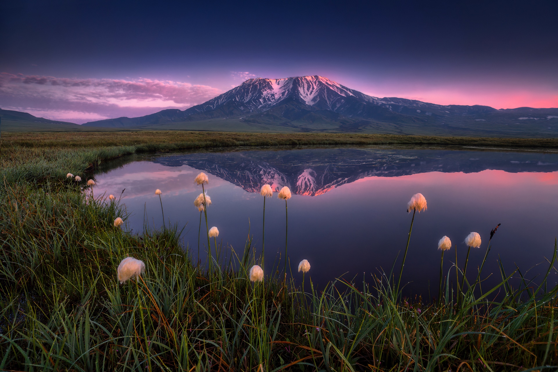 Mountain reflected in a lake with flowers at sunset HD Wallpaper