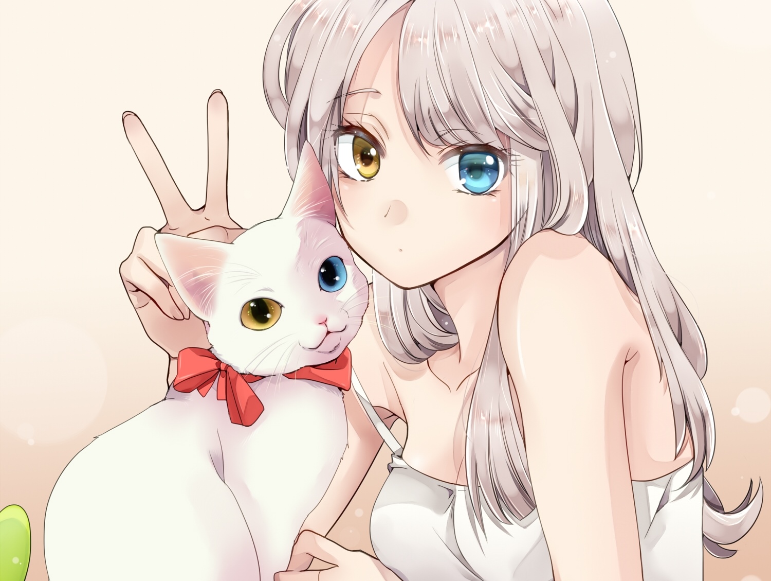 Anime girl with heterochromia and a cat HD Wallpaper