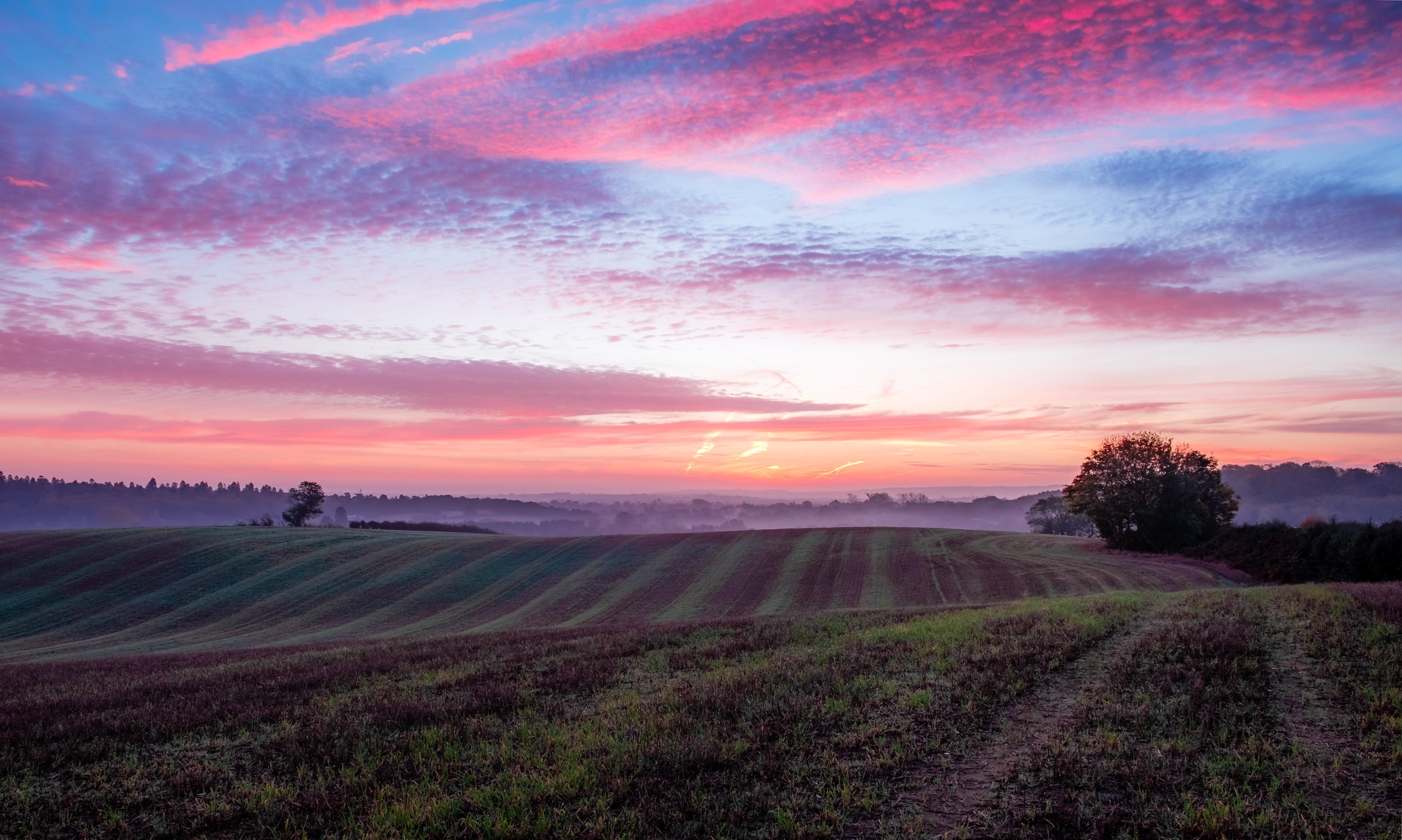 4K UK field at sunset with pink clouds HD Wallpaper