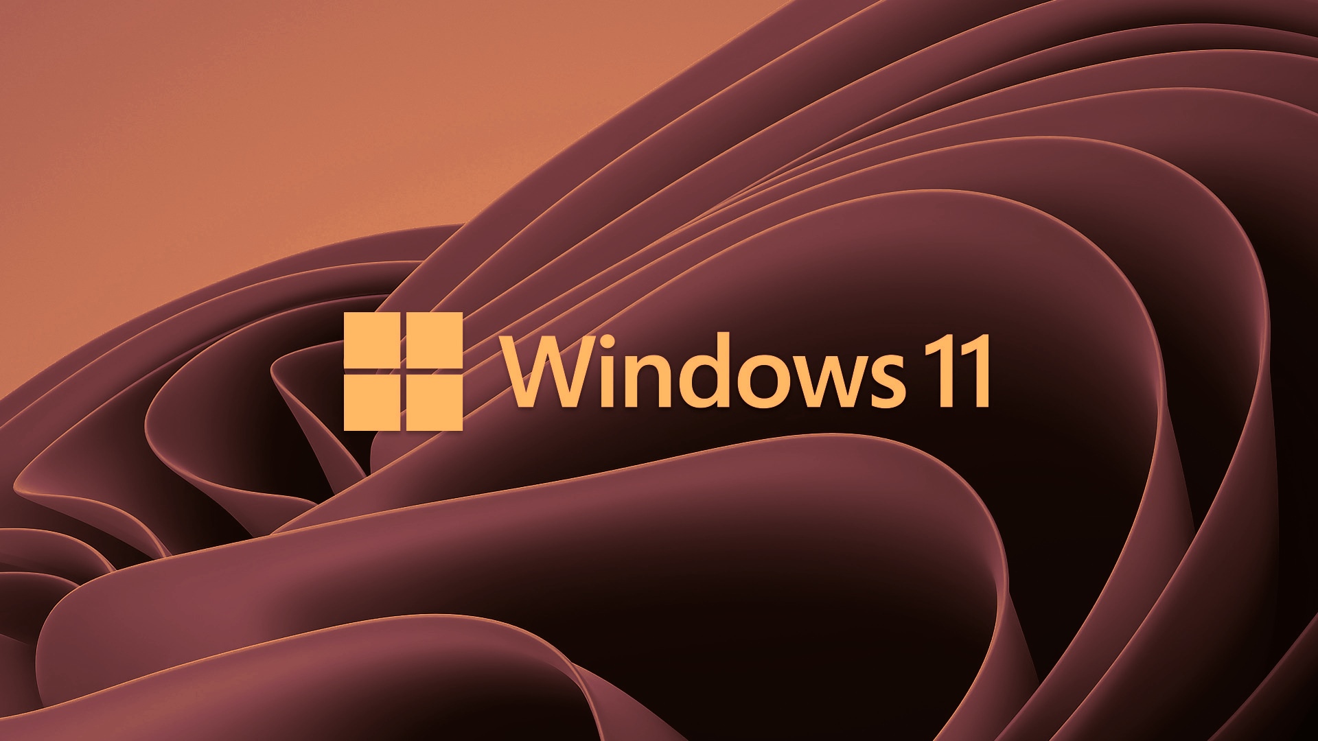Windows 11 Logo on Abstract Background HD Wallpaper
