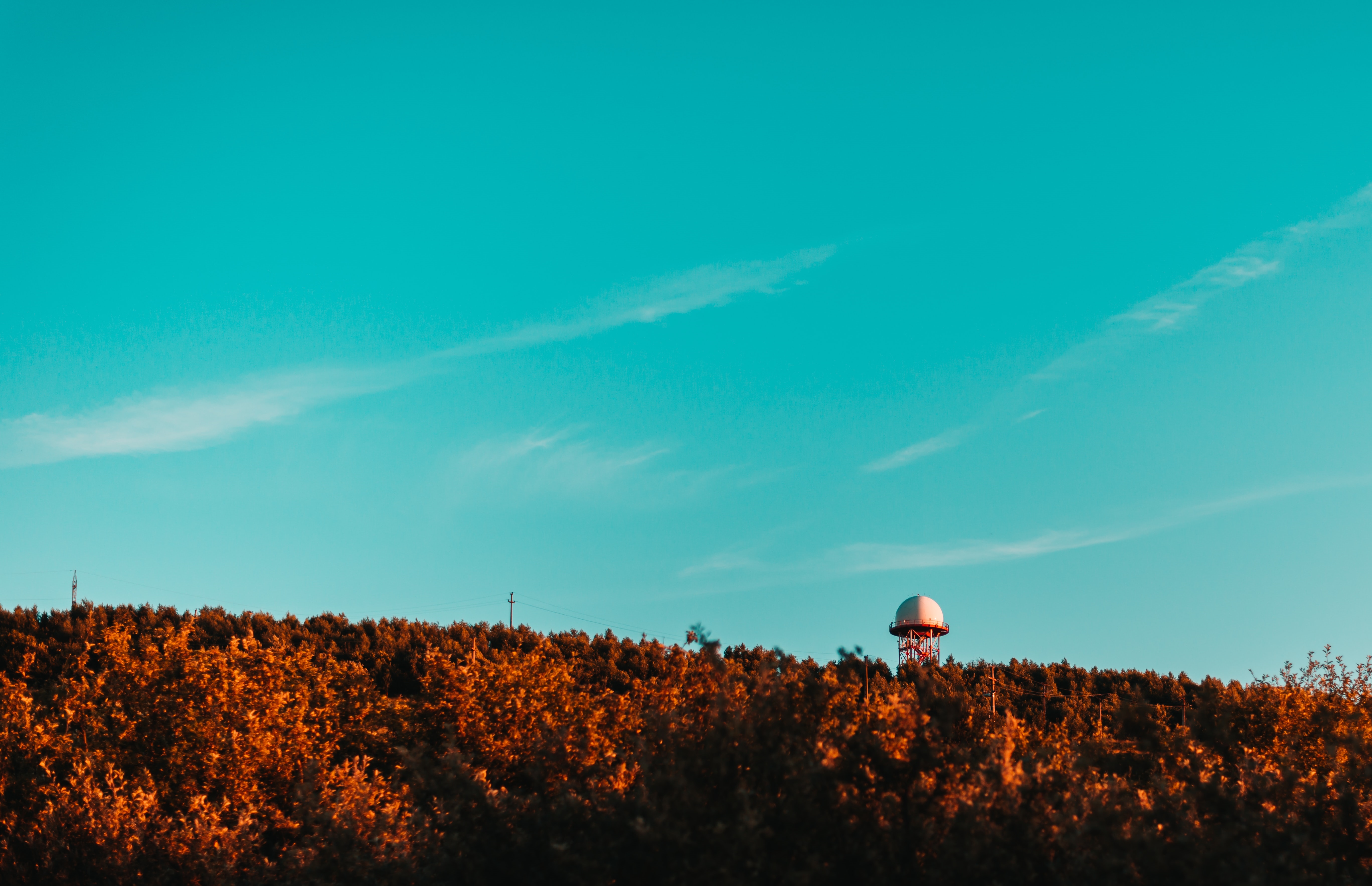4K landscape with forest and sky HD Wallpaper