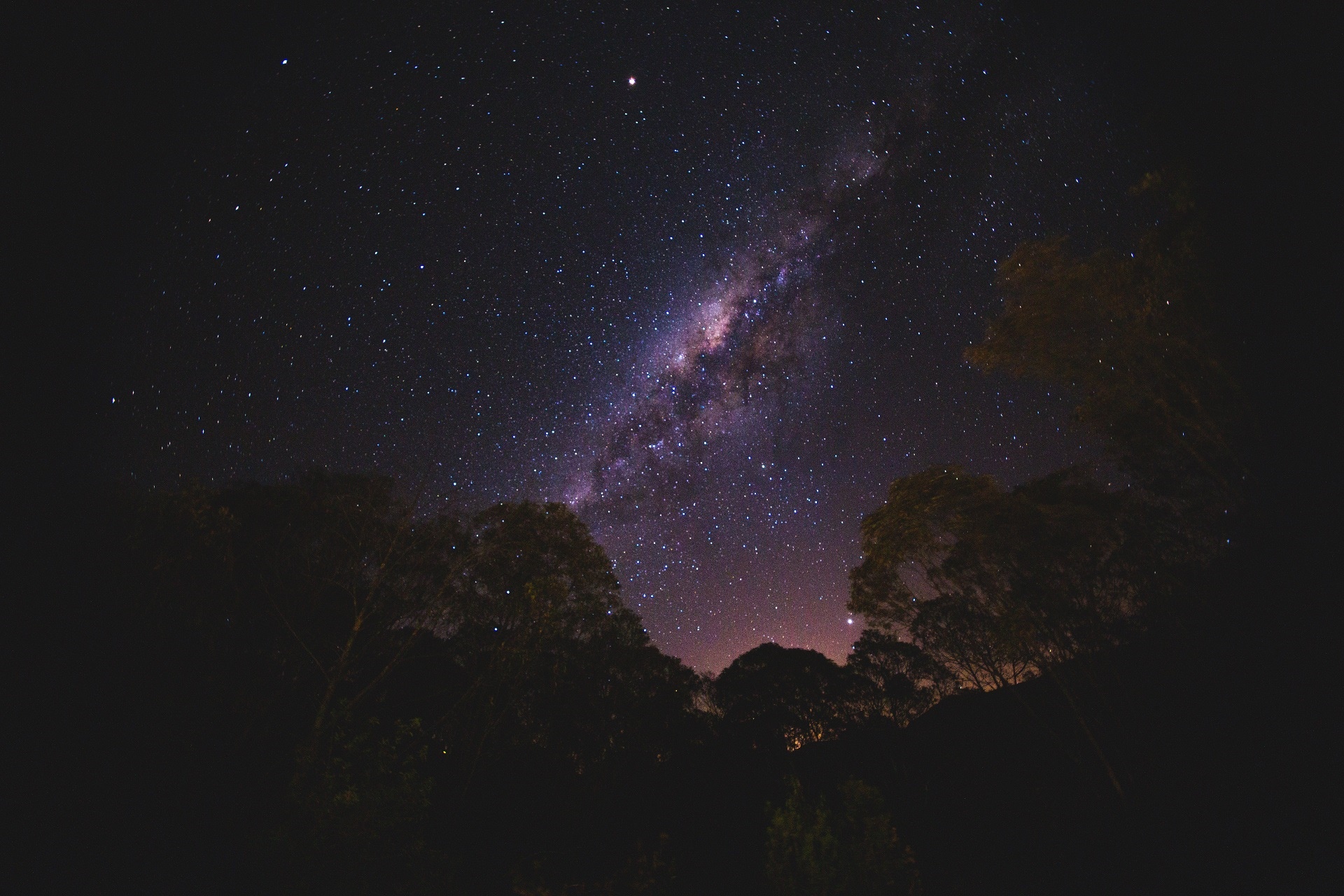 Milky Way galaxy over silhouetted trees at night HD Wallpaper