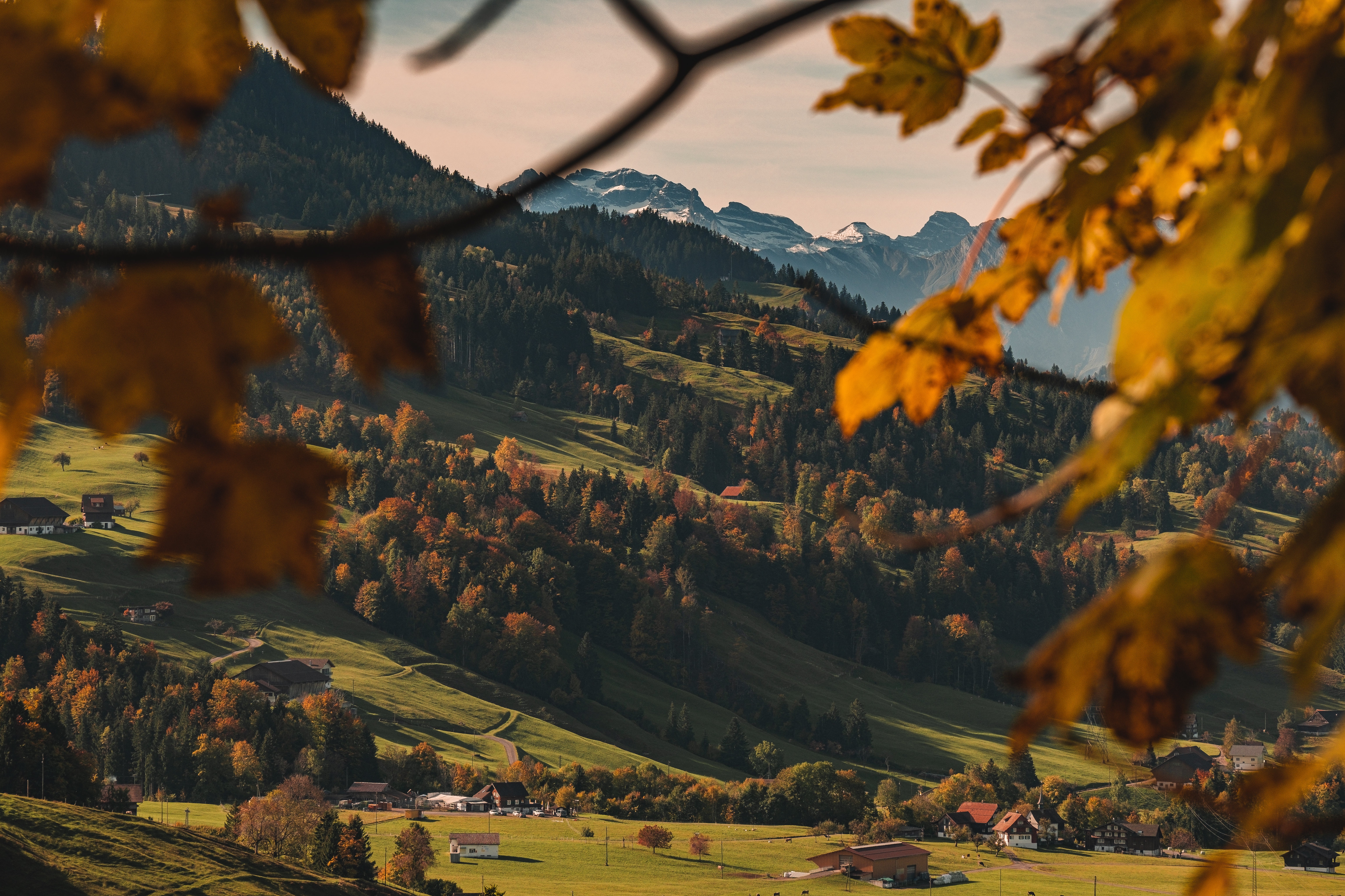4K mountain view with fall foliage and snow-capped peaks HD Wallpaper