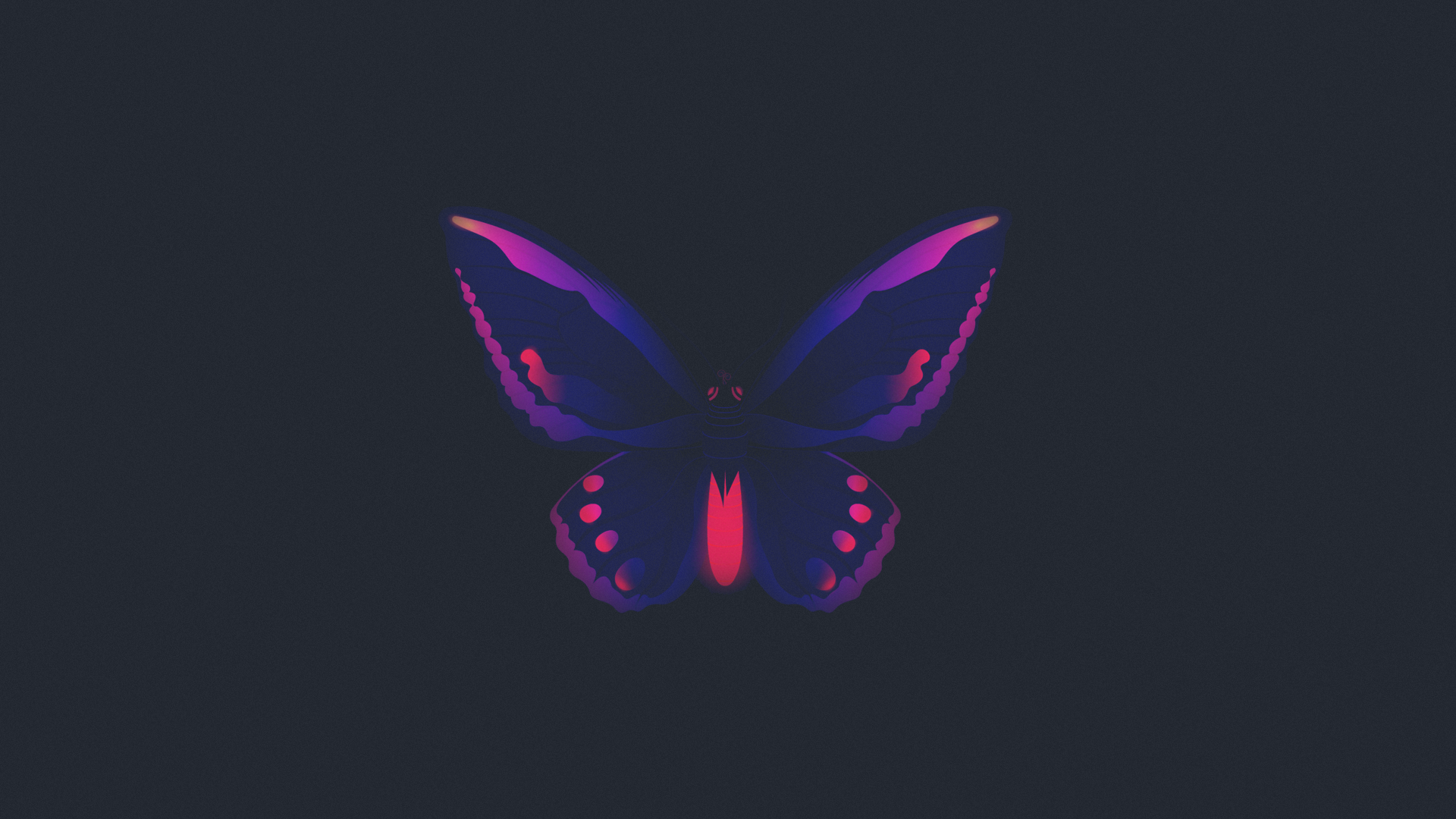 Minimalist dark gradient butterfly illustration HD Wallpaper