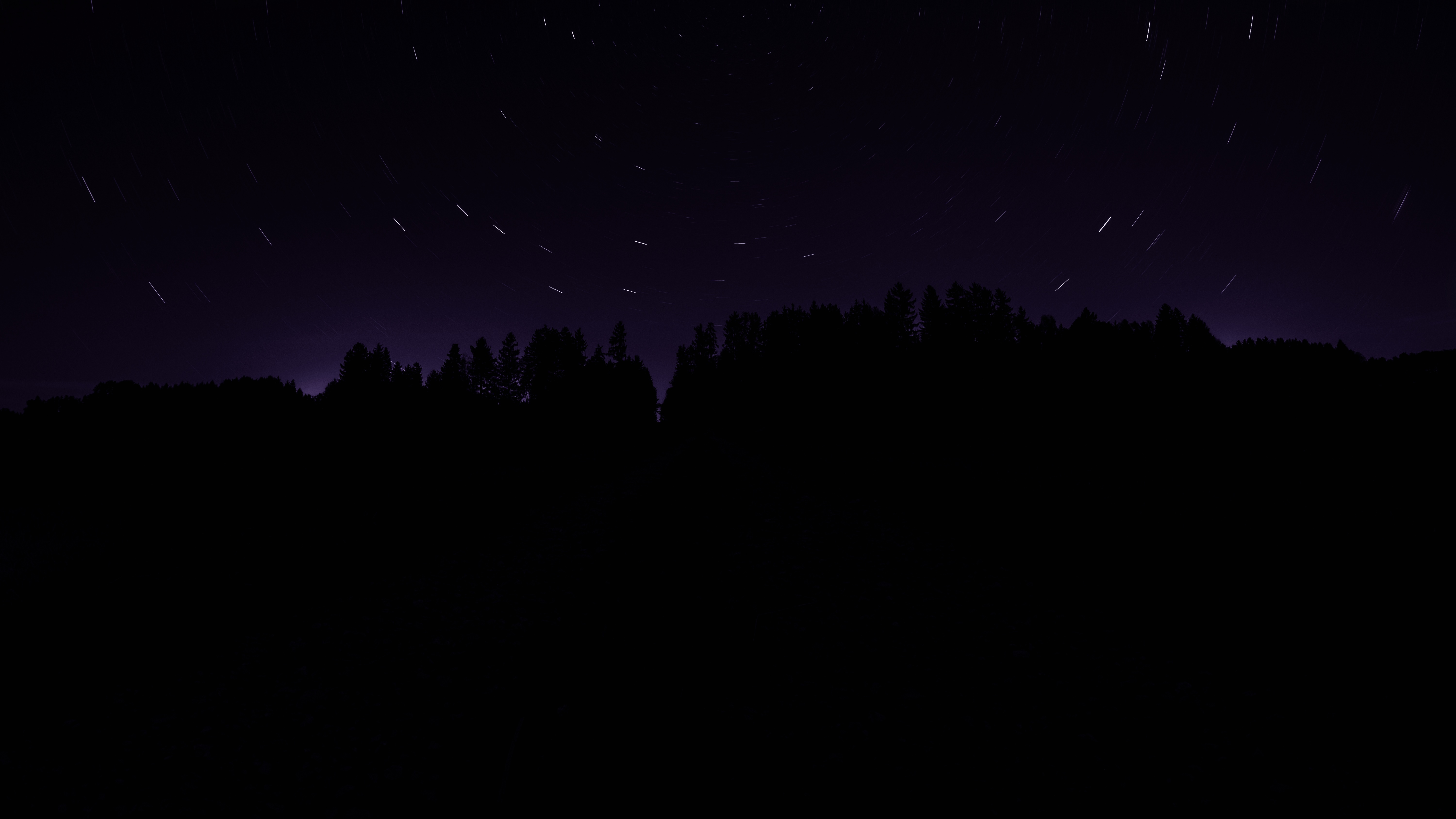 4K long exposure of stars over a forest HD Wallpaper