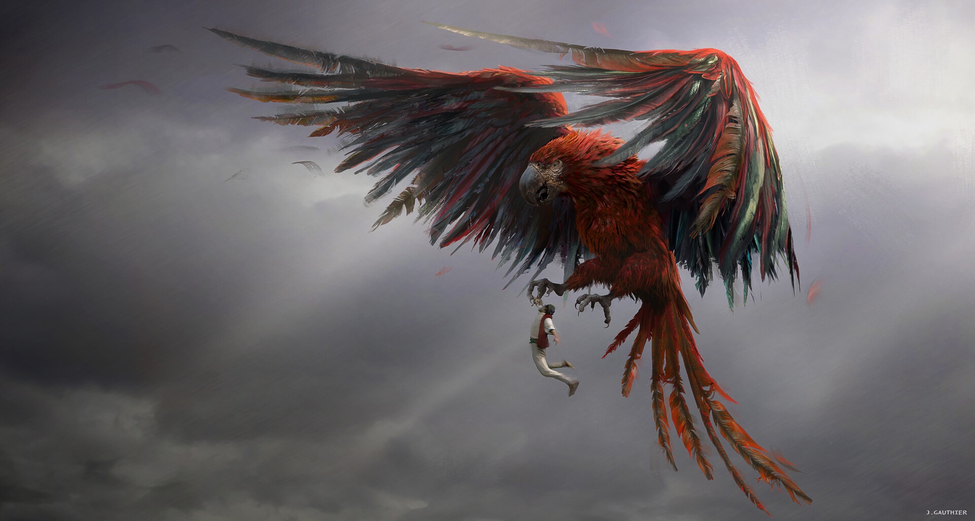 Giant Parrot Carrying a Man in the Sky HD Wallpaper
