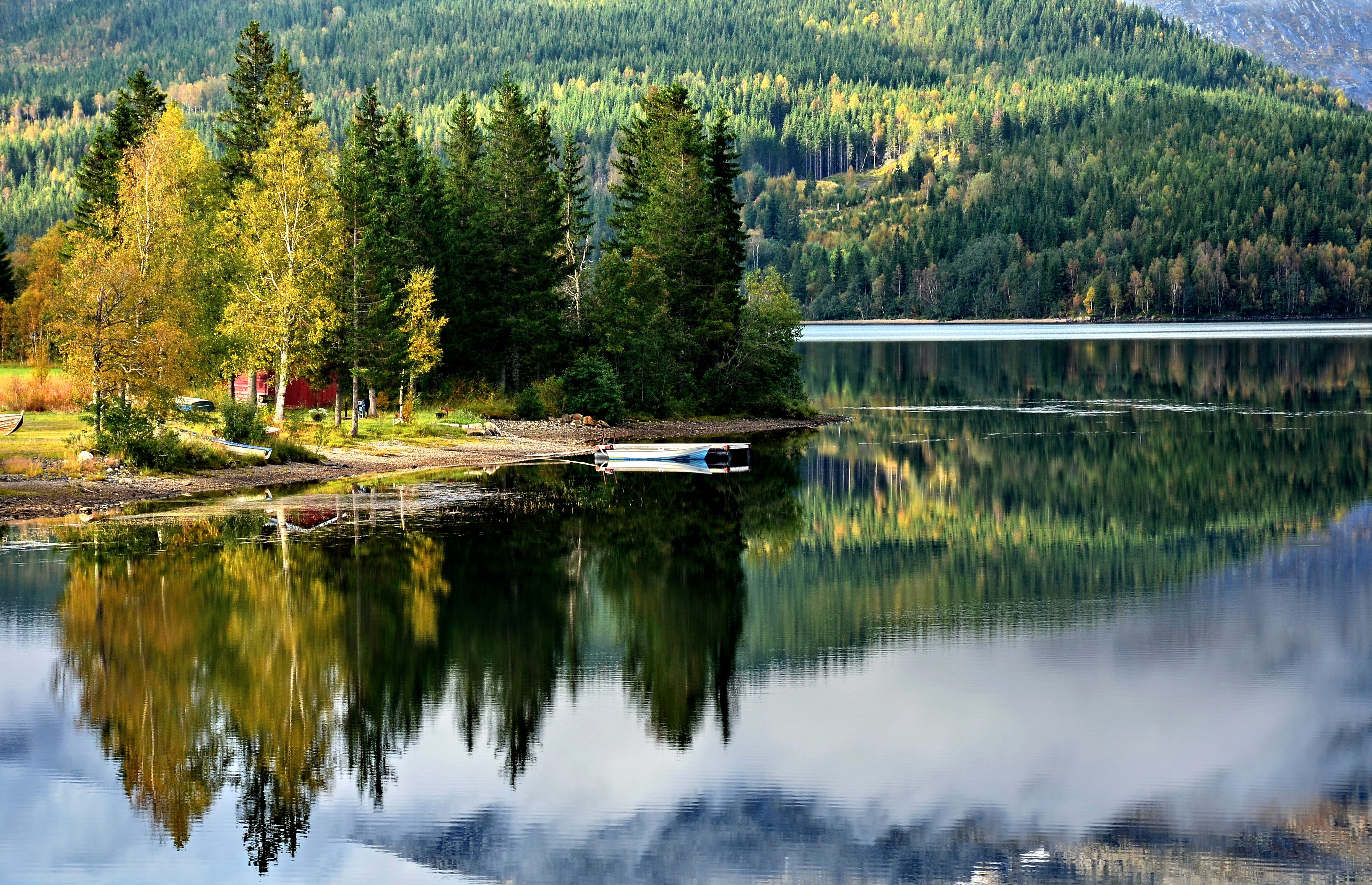 Lake and forest landscape in Norway with reflections HD Wallpaper
