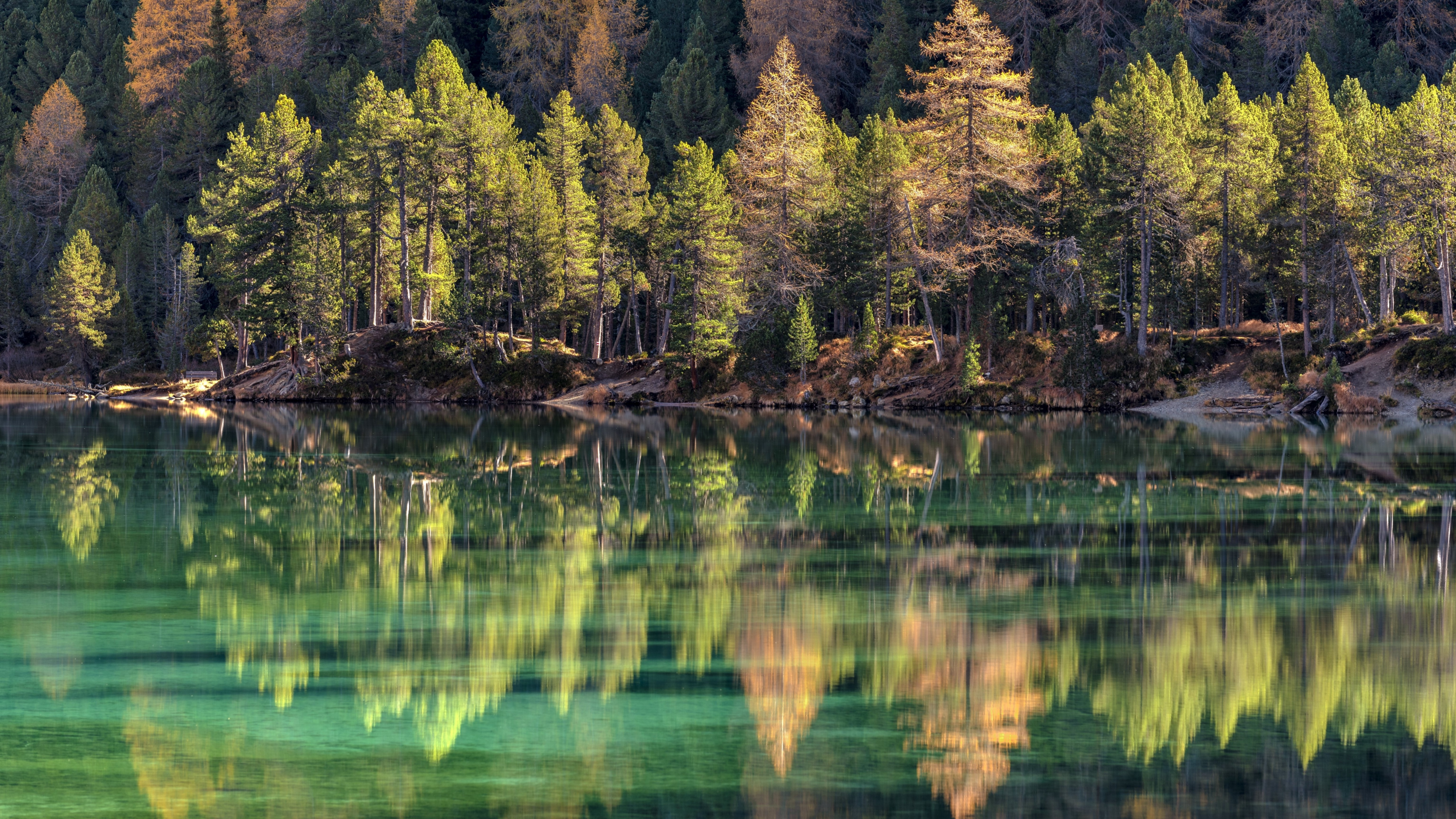 4K landscape of a forest reflected in a lake in Switzerland HD Wallpaper